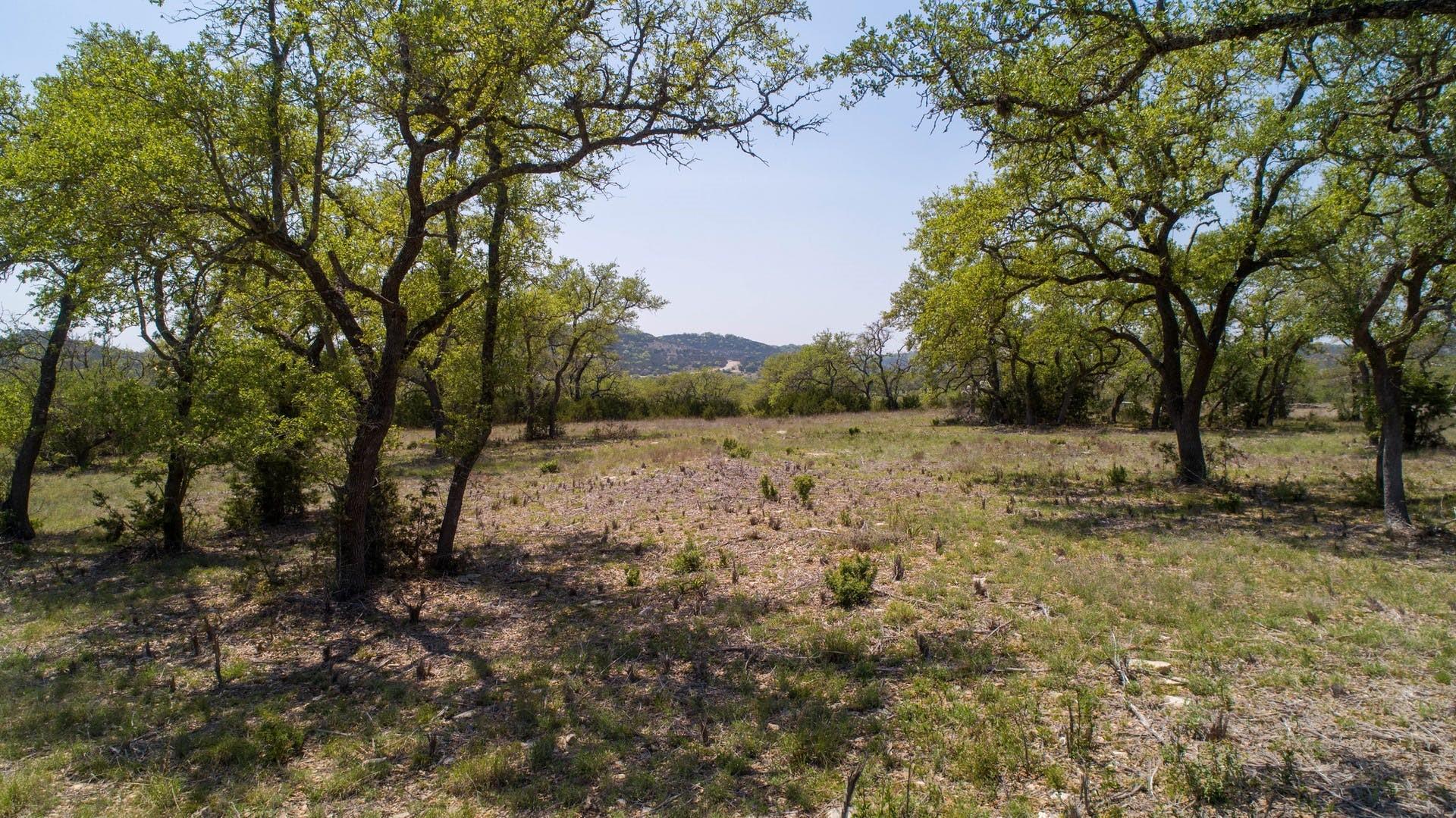 101 Bluff Ridge Trl, Blanco, TX 78606