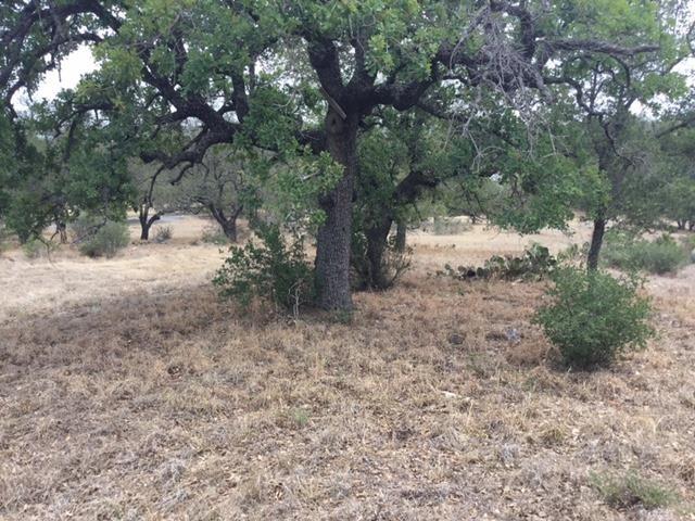 Lot W4042 Fault Line/Twin Oaks, Horseshoe Bay, TX 78657