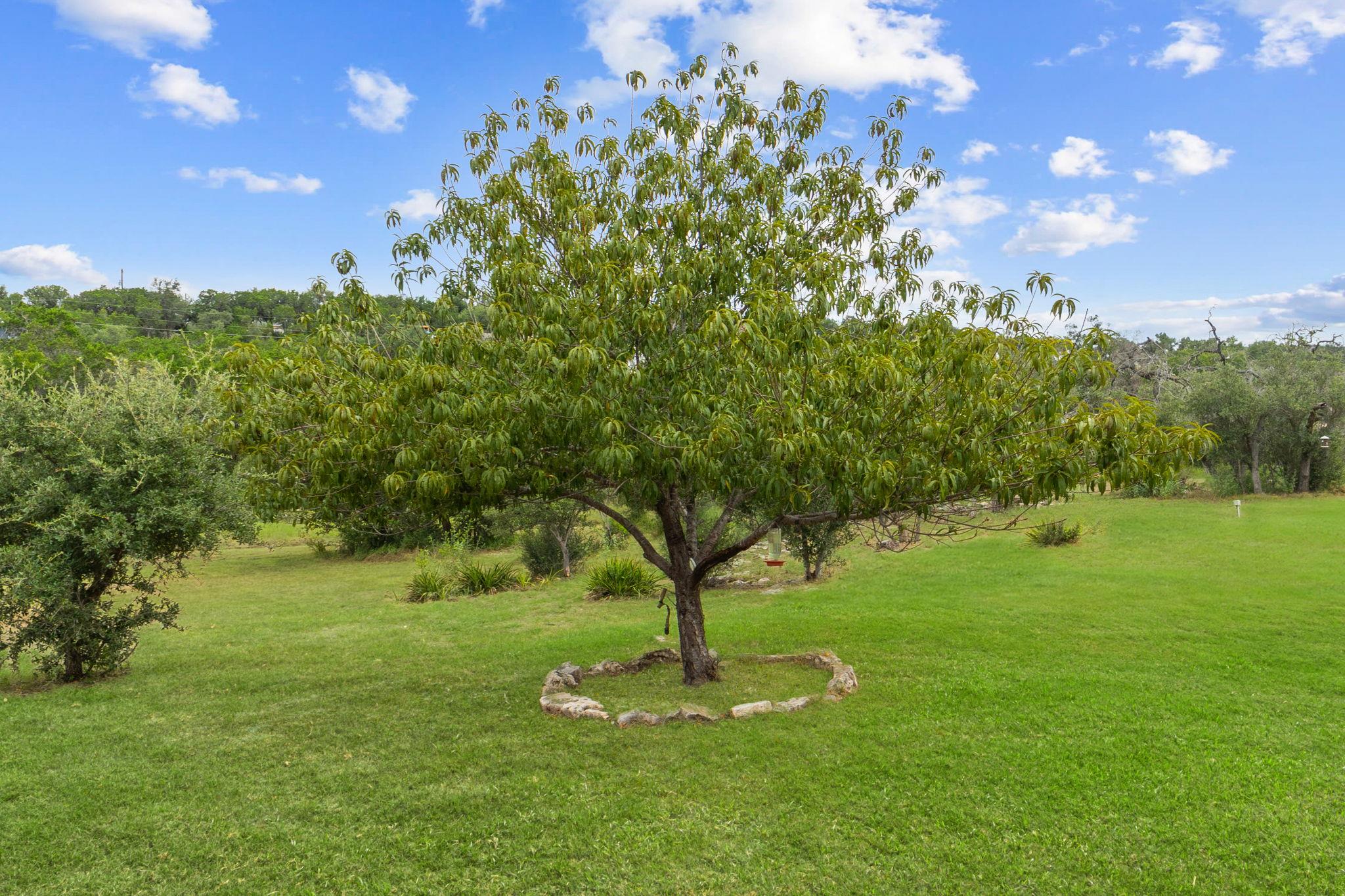 20401 Siesta Shores Dr, Spicewood, TX 78669