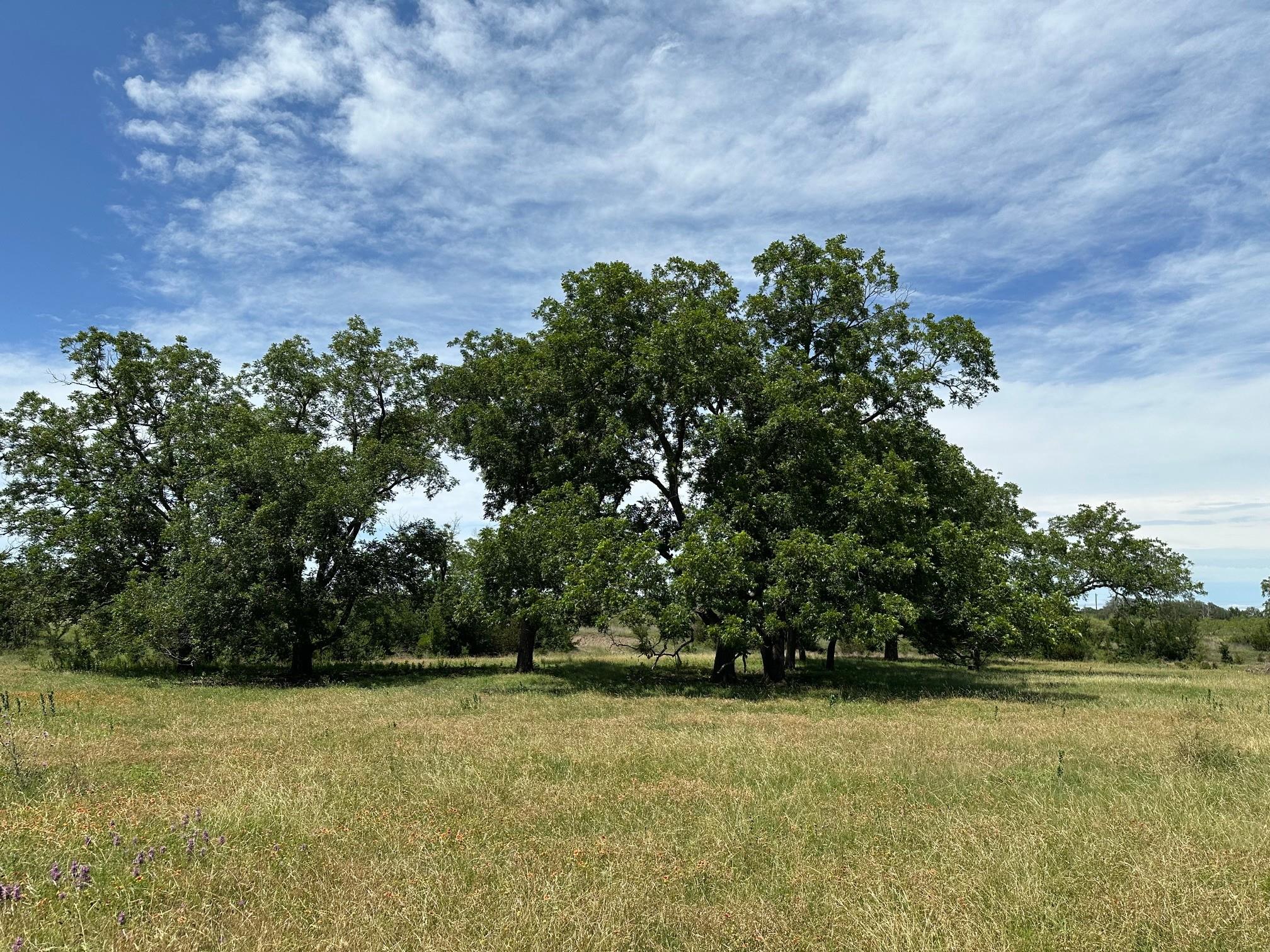unk 114ac CR 330, Bertram, TX 78605
