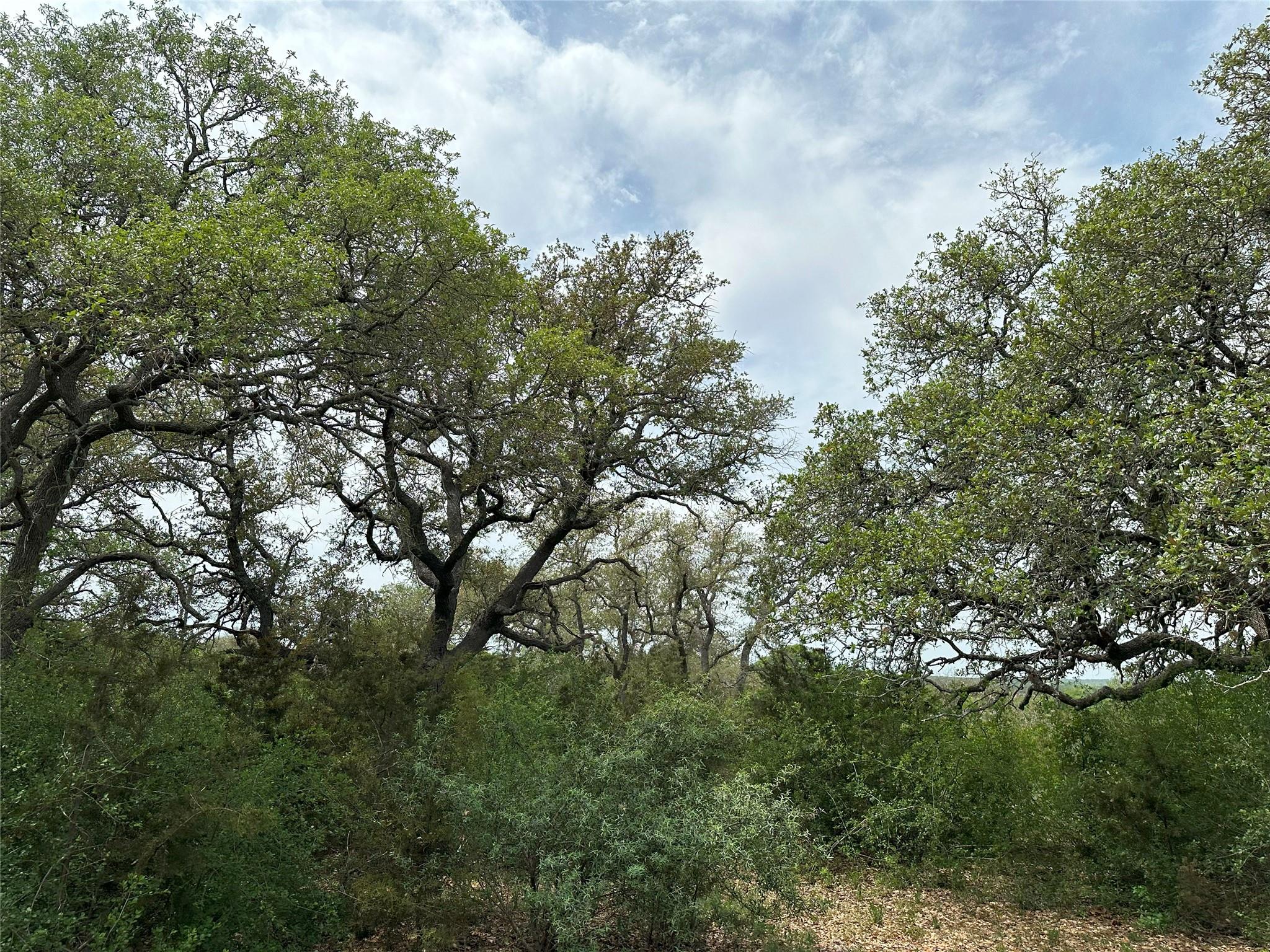 unk 114ac CR 330, Bertram, TX 78605