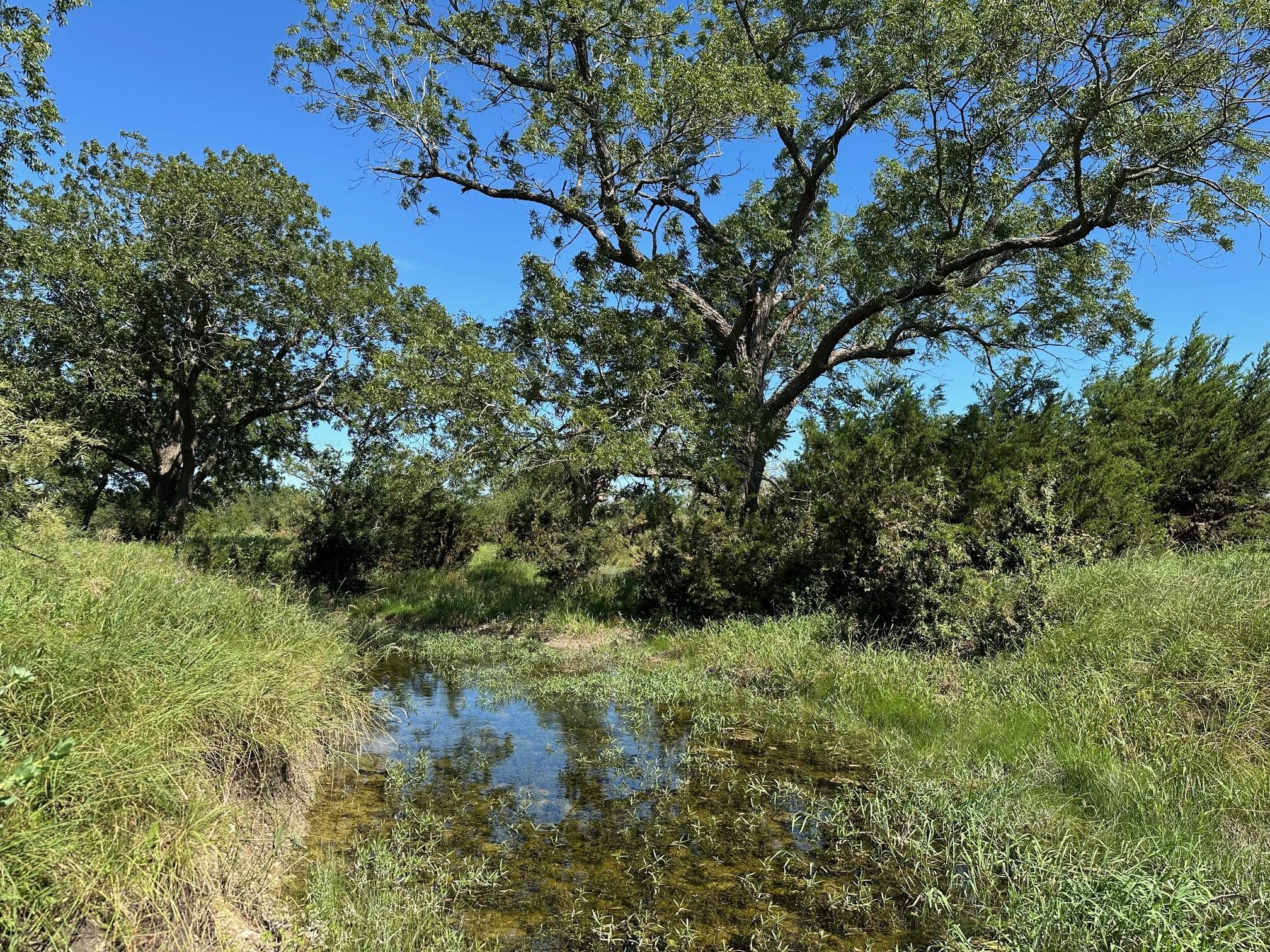 unk 114ac CR 330, Bertram, TX 78605