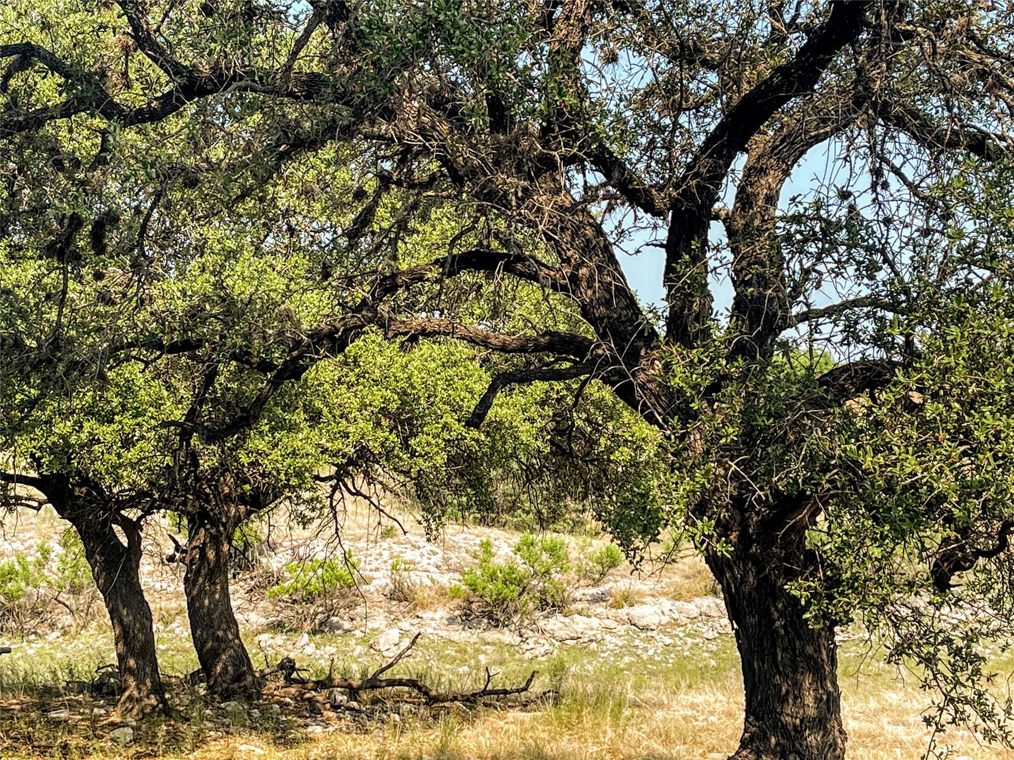 21307 Cardinal Ave, Lago Vista, TX 78645