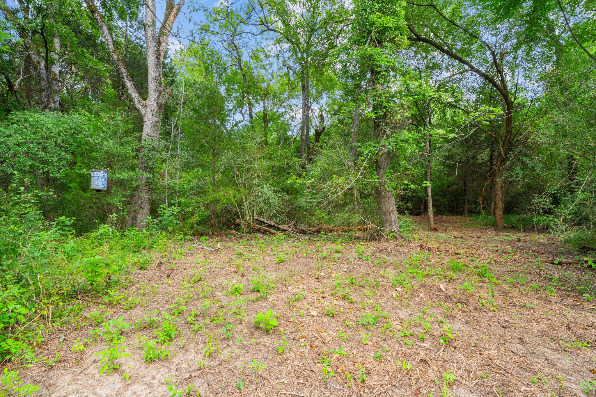 242 Cody Ln, Bastrop, TX 78602