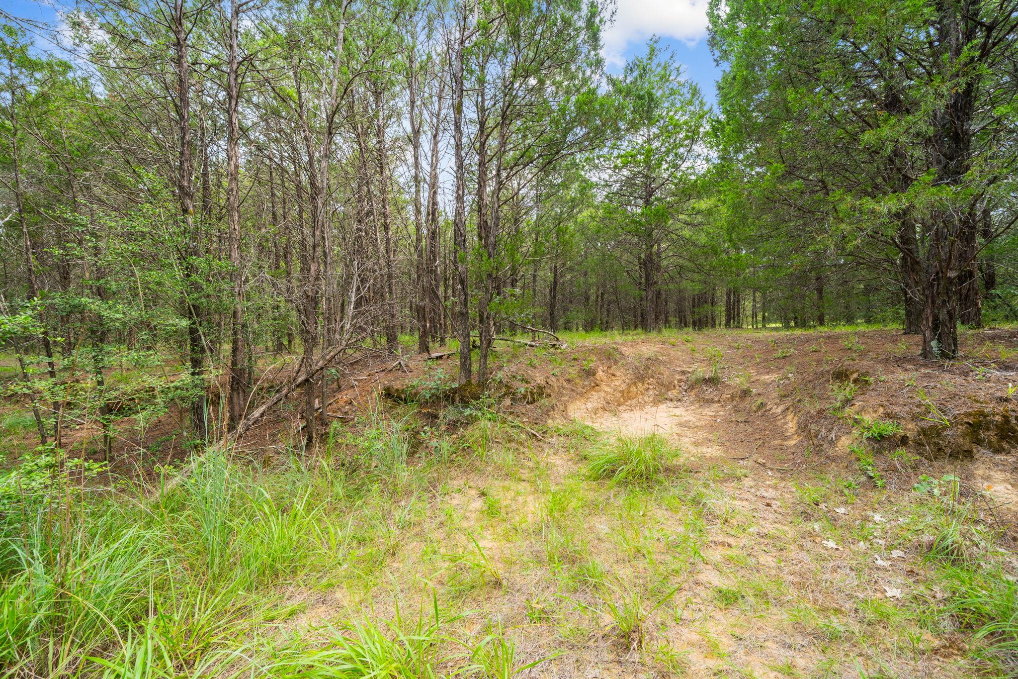 242 Cody Ln, Bastrop, TX 78602