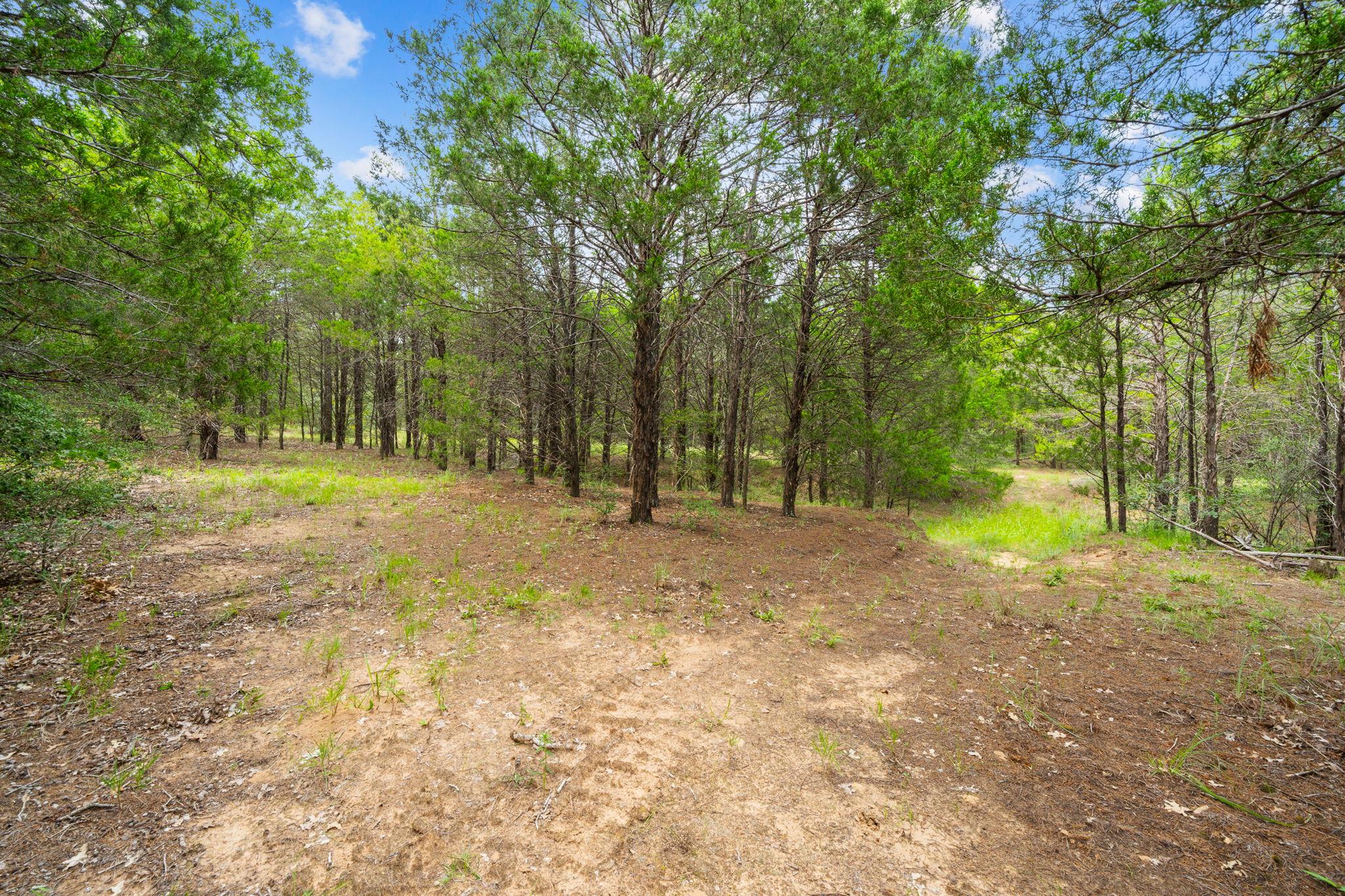 242 Cody Ln, Bastrop, TX 78602