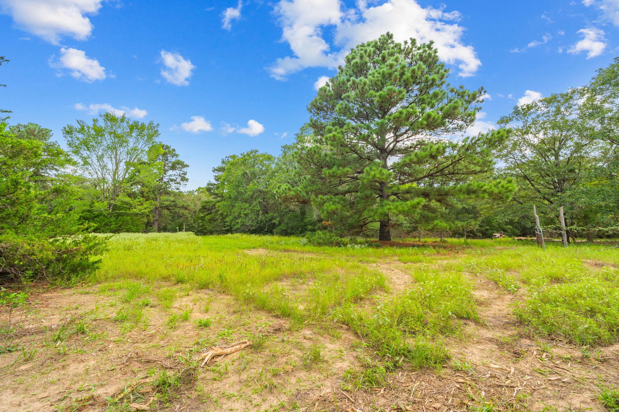 242 Cody Ln, Bastrop, TX 78602