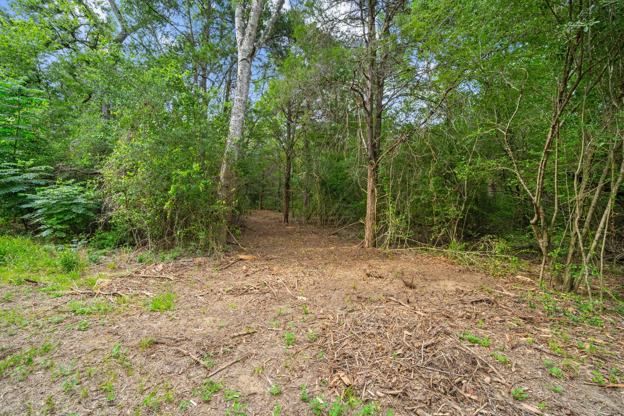 242 Cody Ln, Bastrop, TX 78602