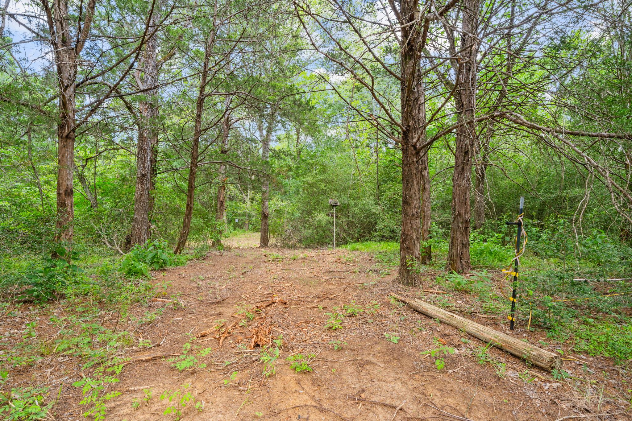 242 Cody Ln, Bastrop, TX 78602