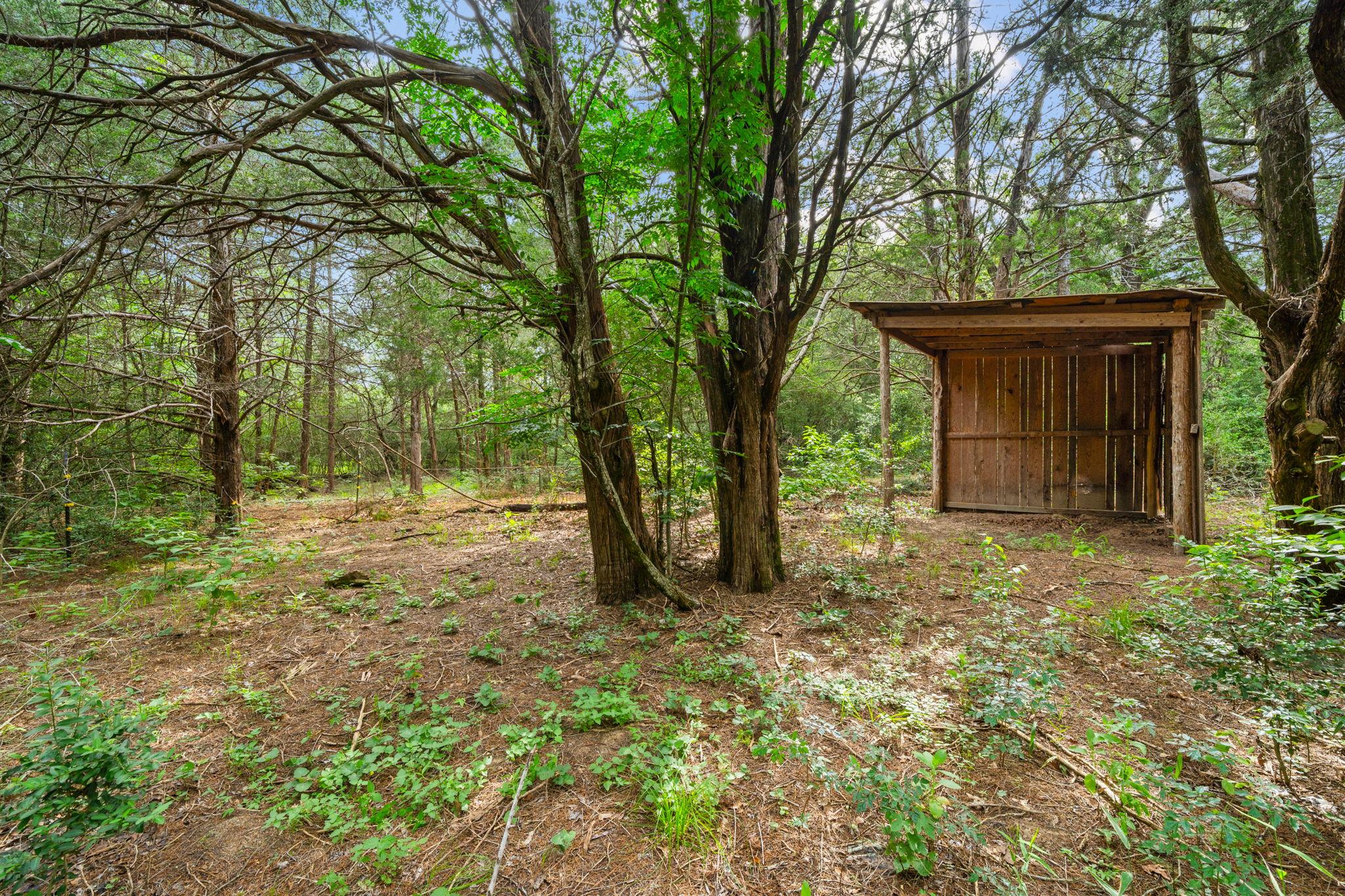 242 Cody Ln, Bastrop, TX 78602