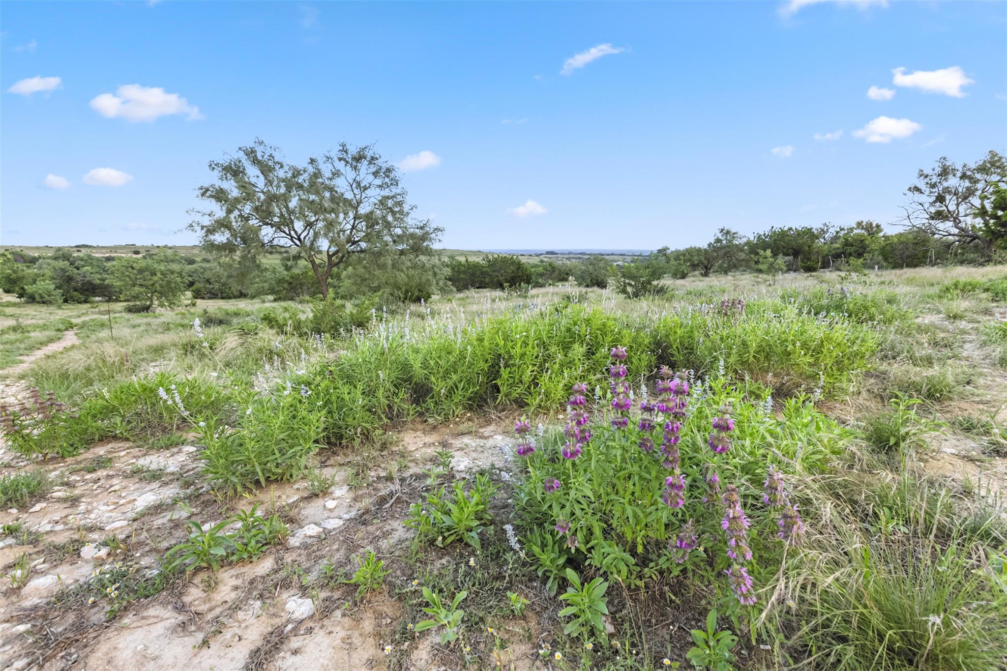2989 Fm 580 E, Lampasas, TX 76550