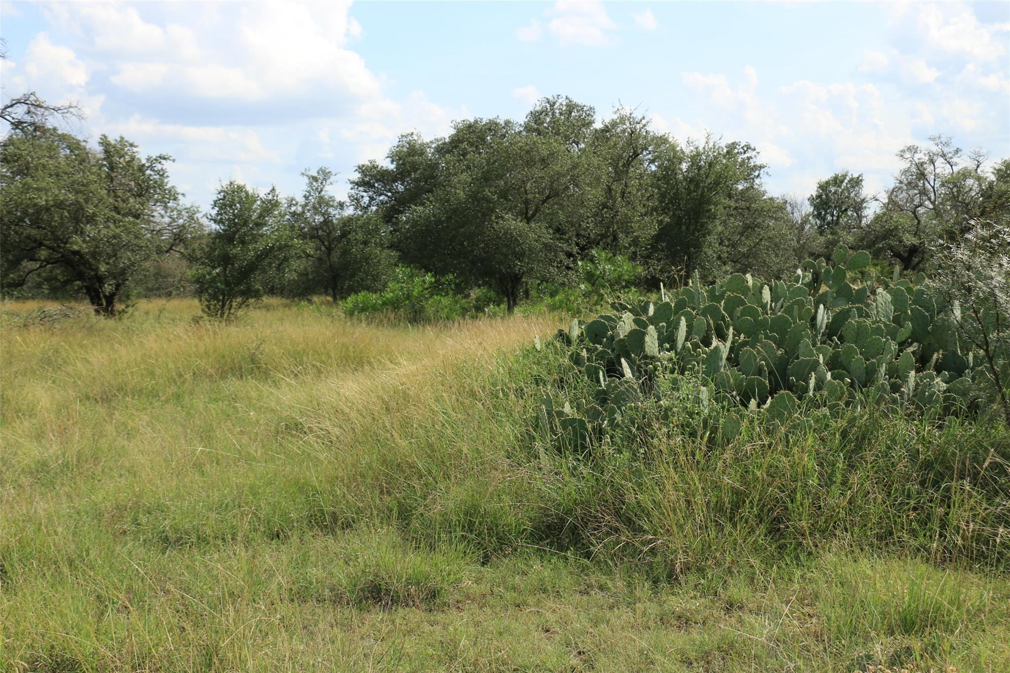 TBD Fm-2340, Burnet, TX 78611