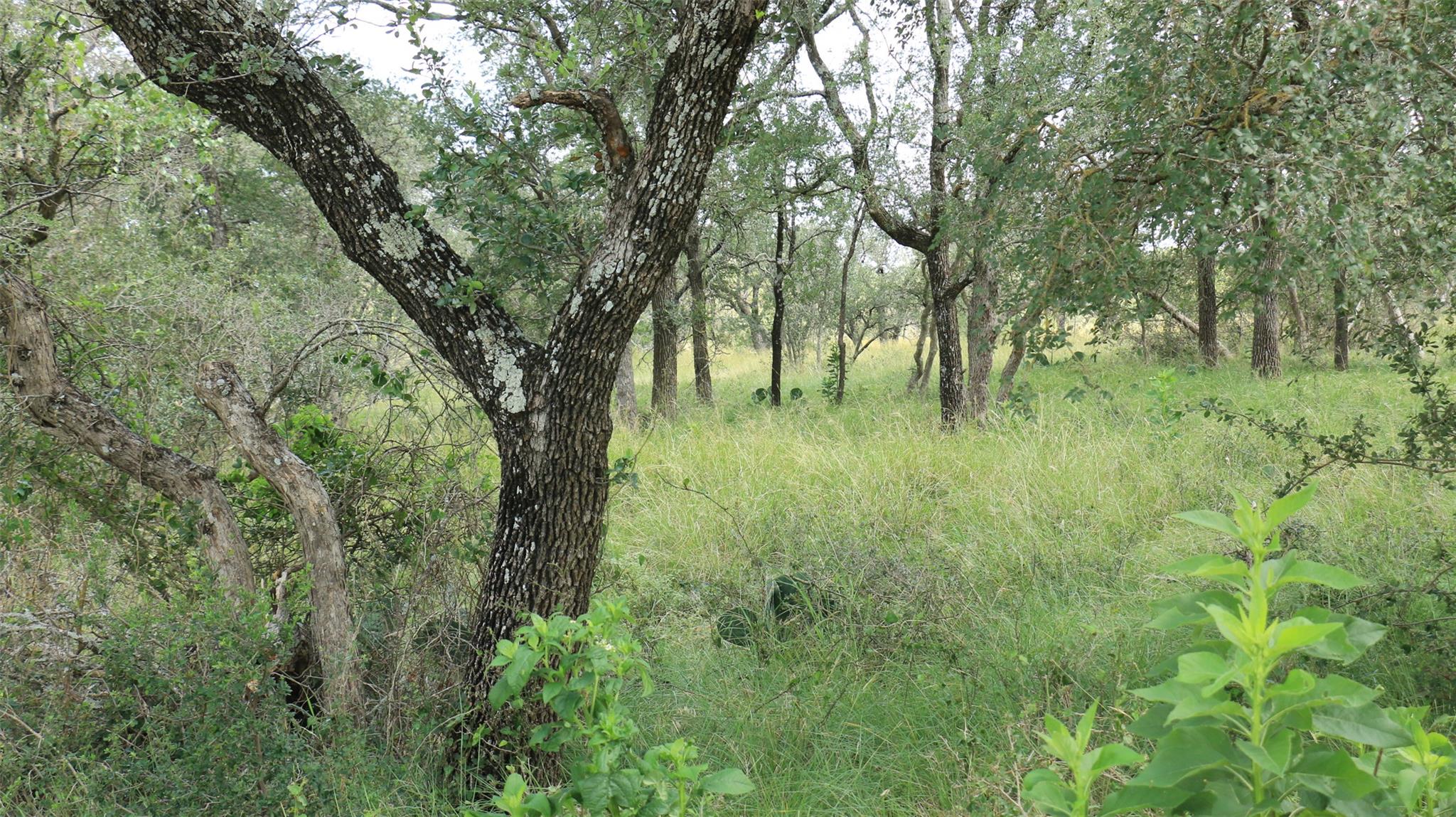 TBD Fm-2340, Burnet, TX 78611