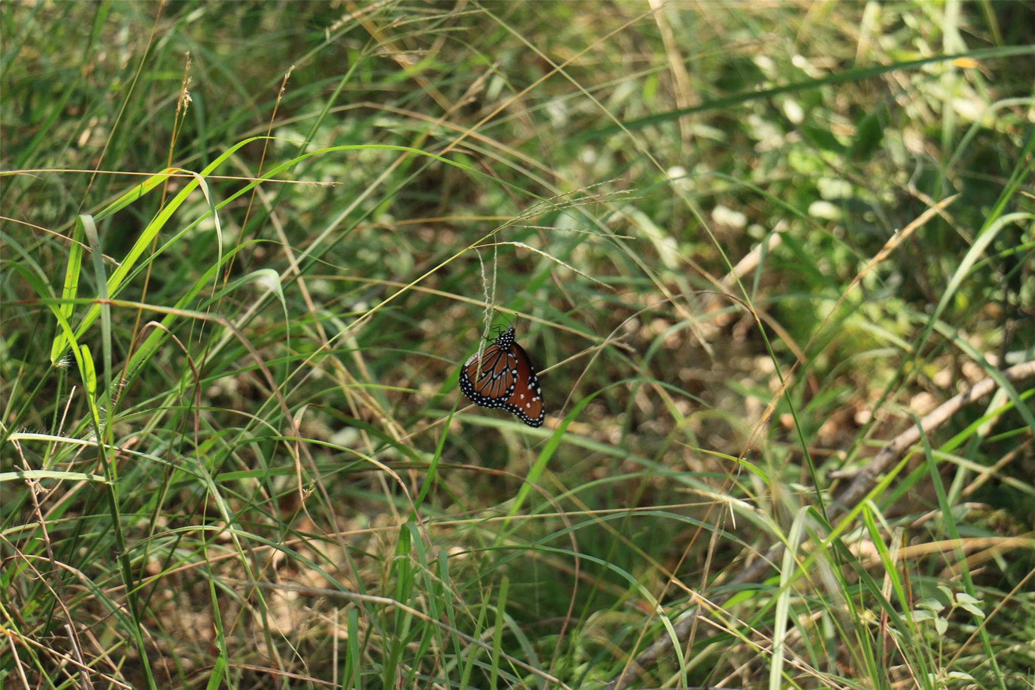 TBD Fm-2340, Burnet, TX 78611