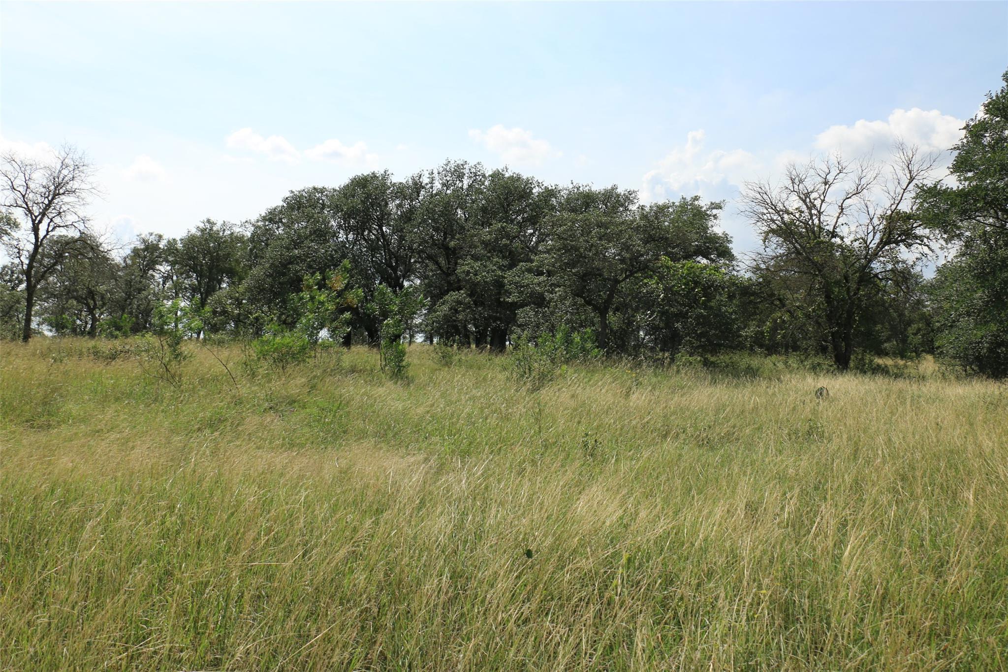 TBD Fm-2340, Burnet, TX 78611