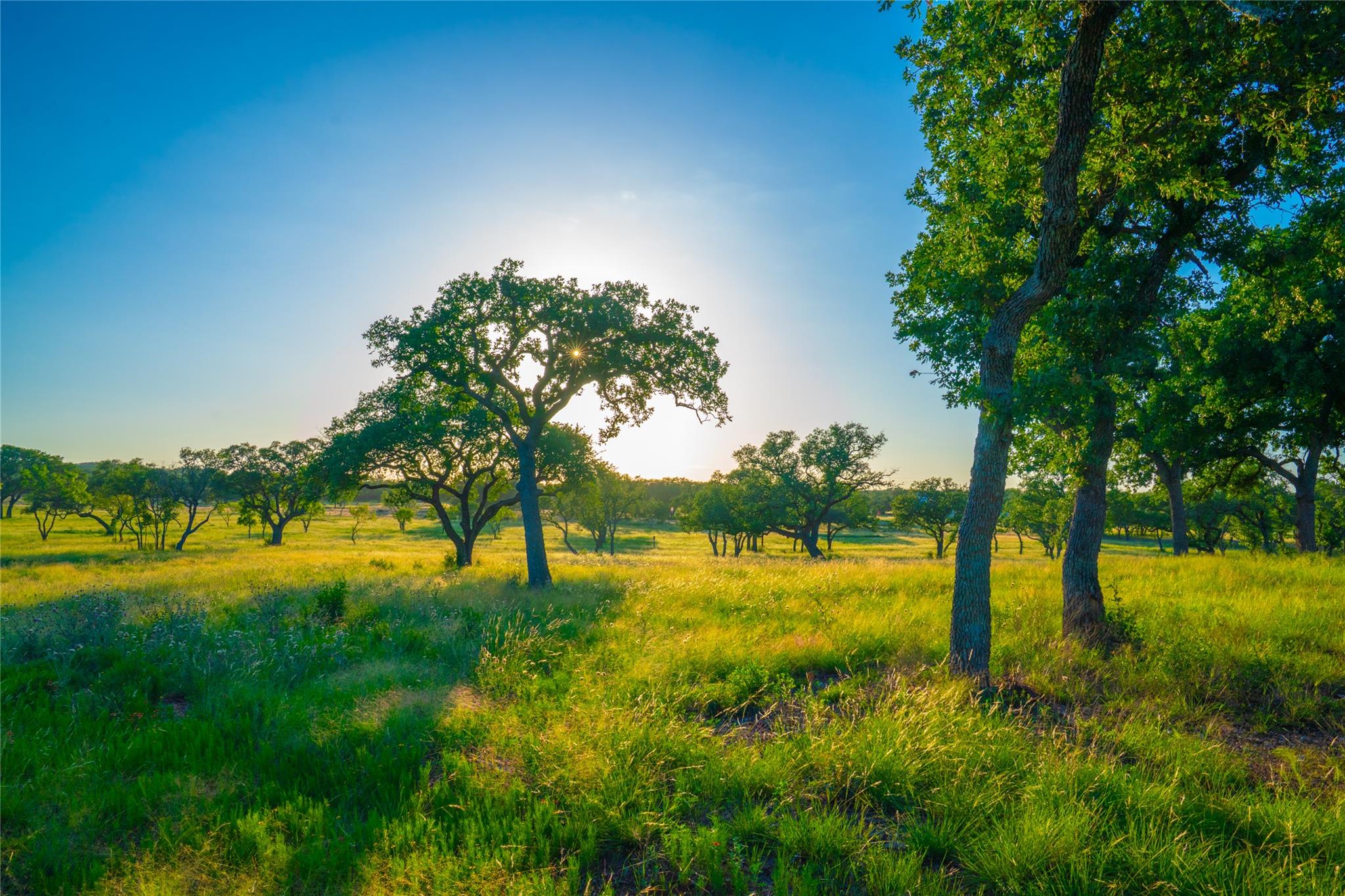 000 Rolling Oaks Rnch, Johnson City, TX 78636