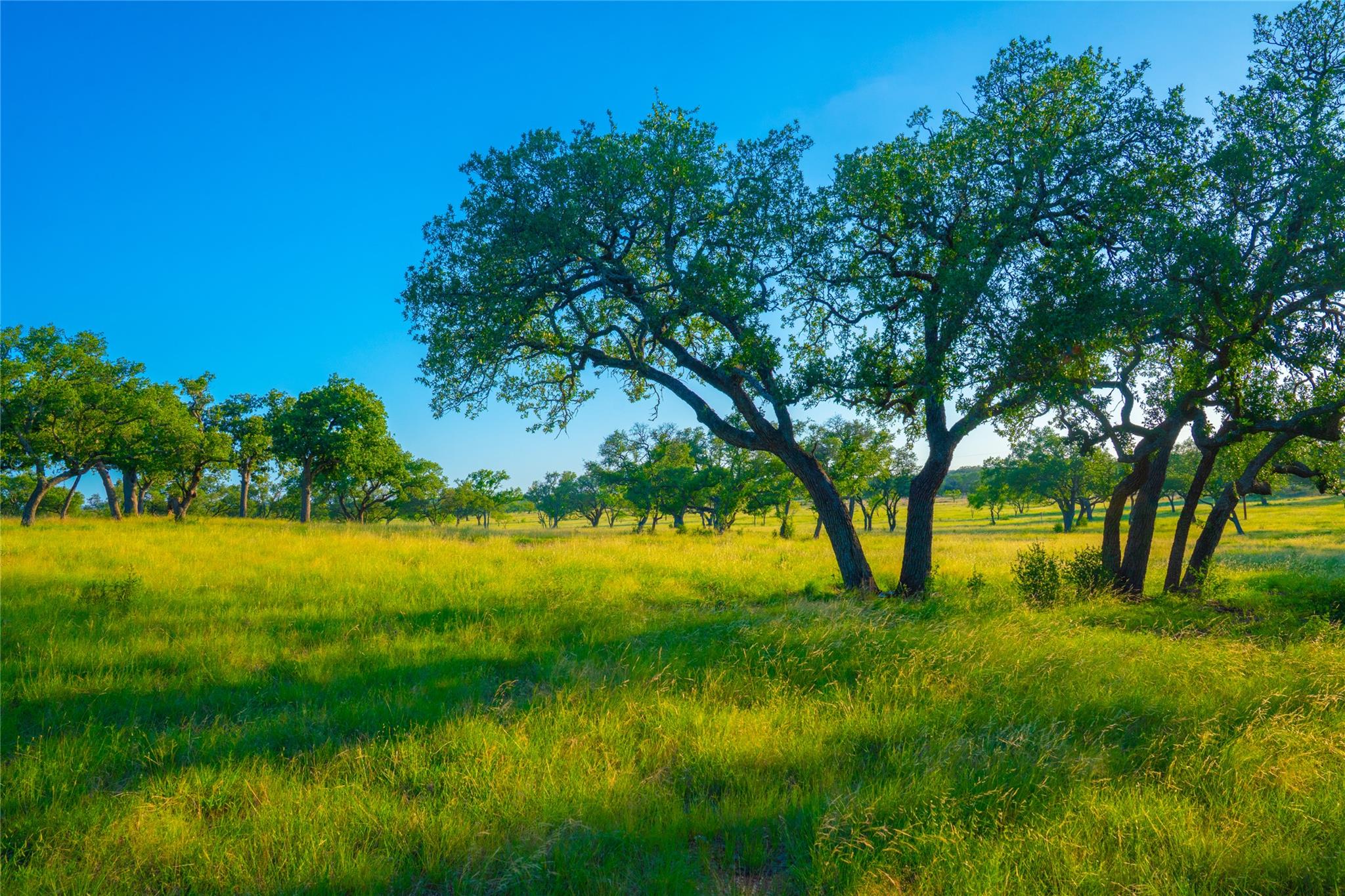 000 Rolling Oaks Rnch, Johnson City, TX 78636