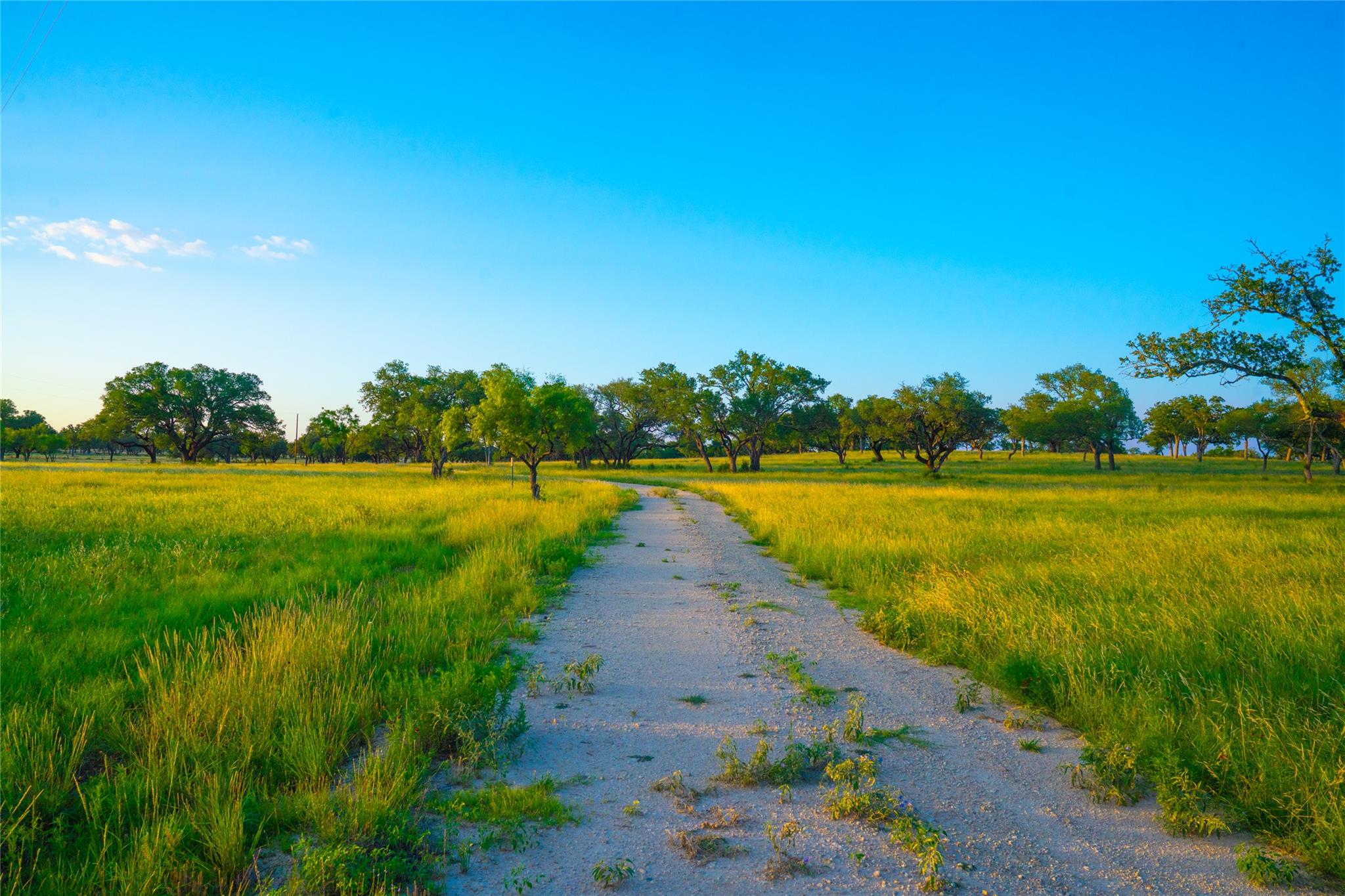 000 Rolling Oaks Rnch, Johnson City, TX 78636