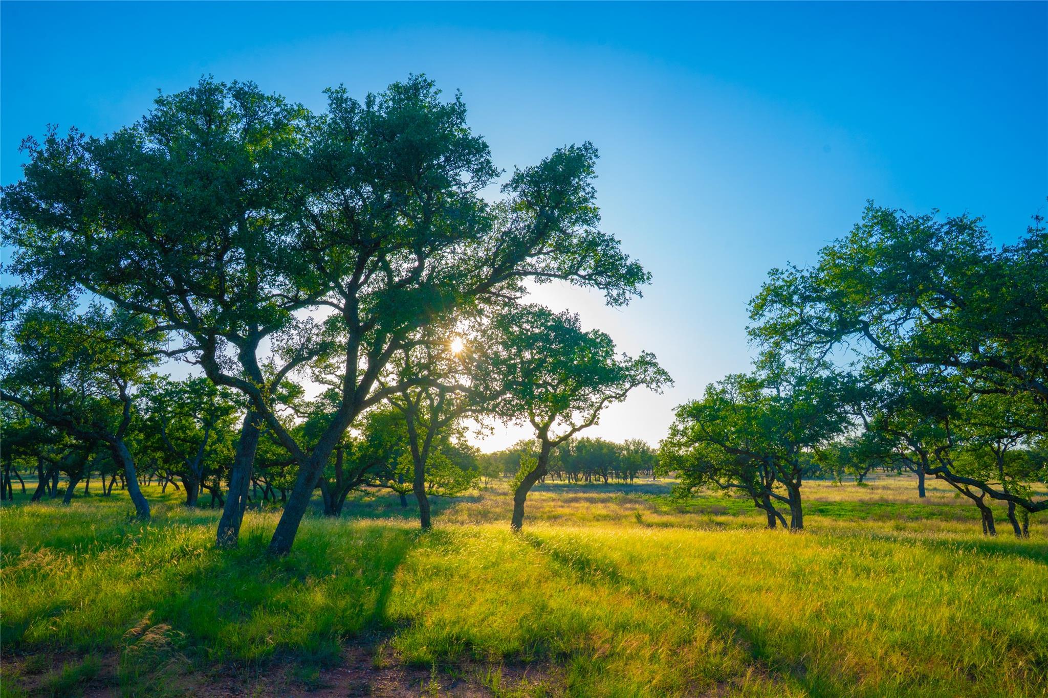 000 Rolling Oaks Rnch, Johnson City, TX 78636