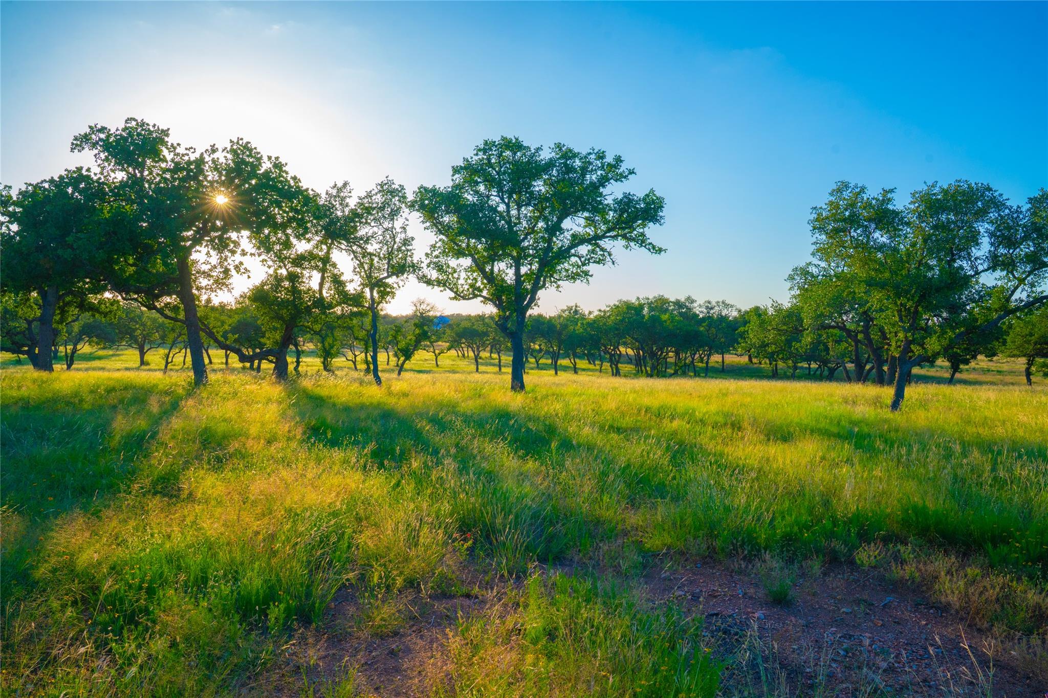 000 Rolling Oaks Rnch, Johnson City, TX 78636