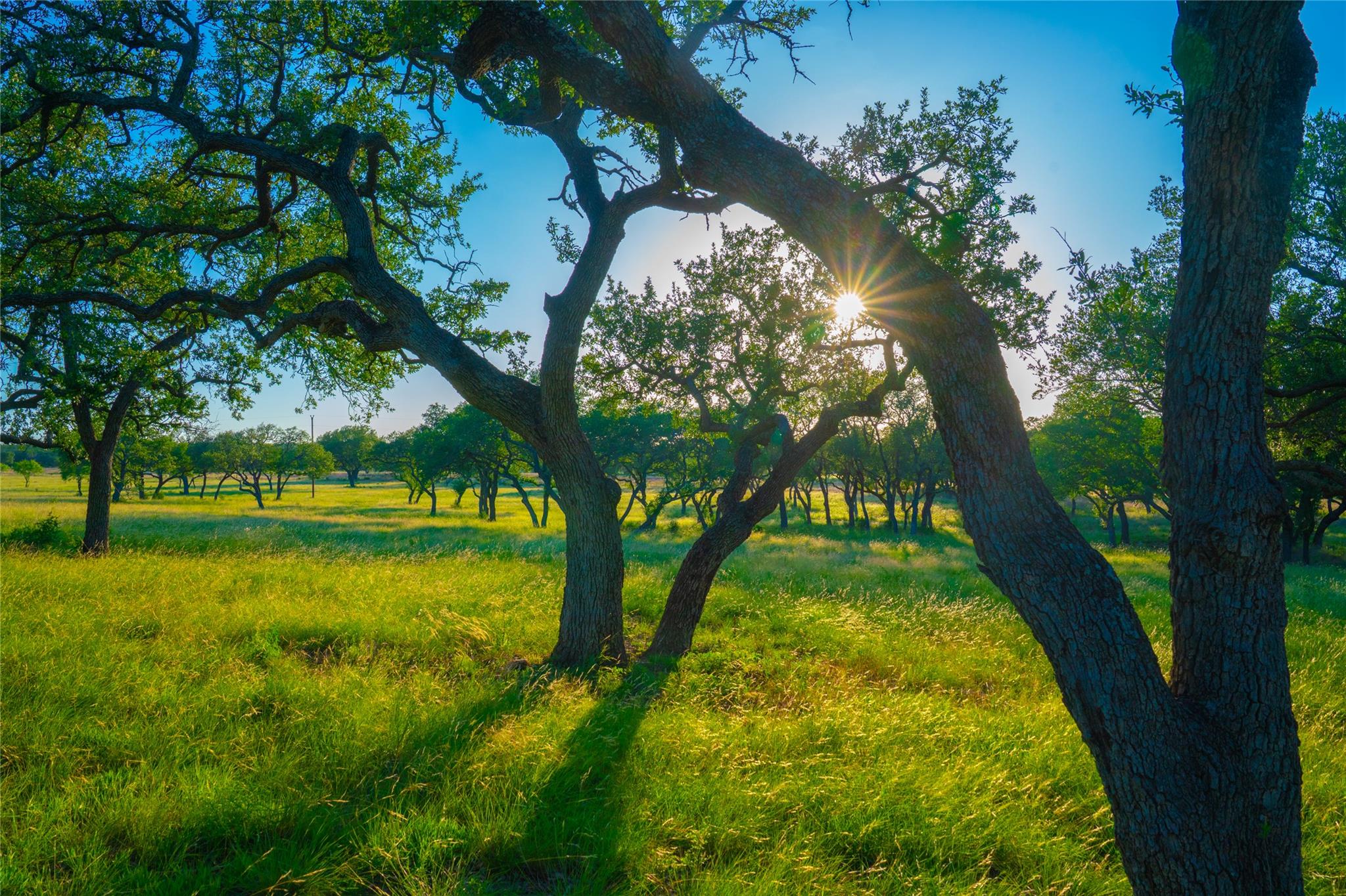 000 Rolling Oaks Rnch, Johnson City, TX 78636