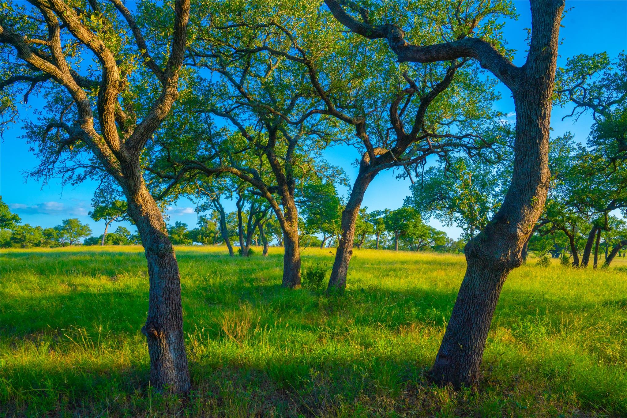 000 Rolling Oaks Rnch, Johnson City, TX 78636