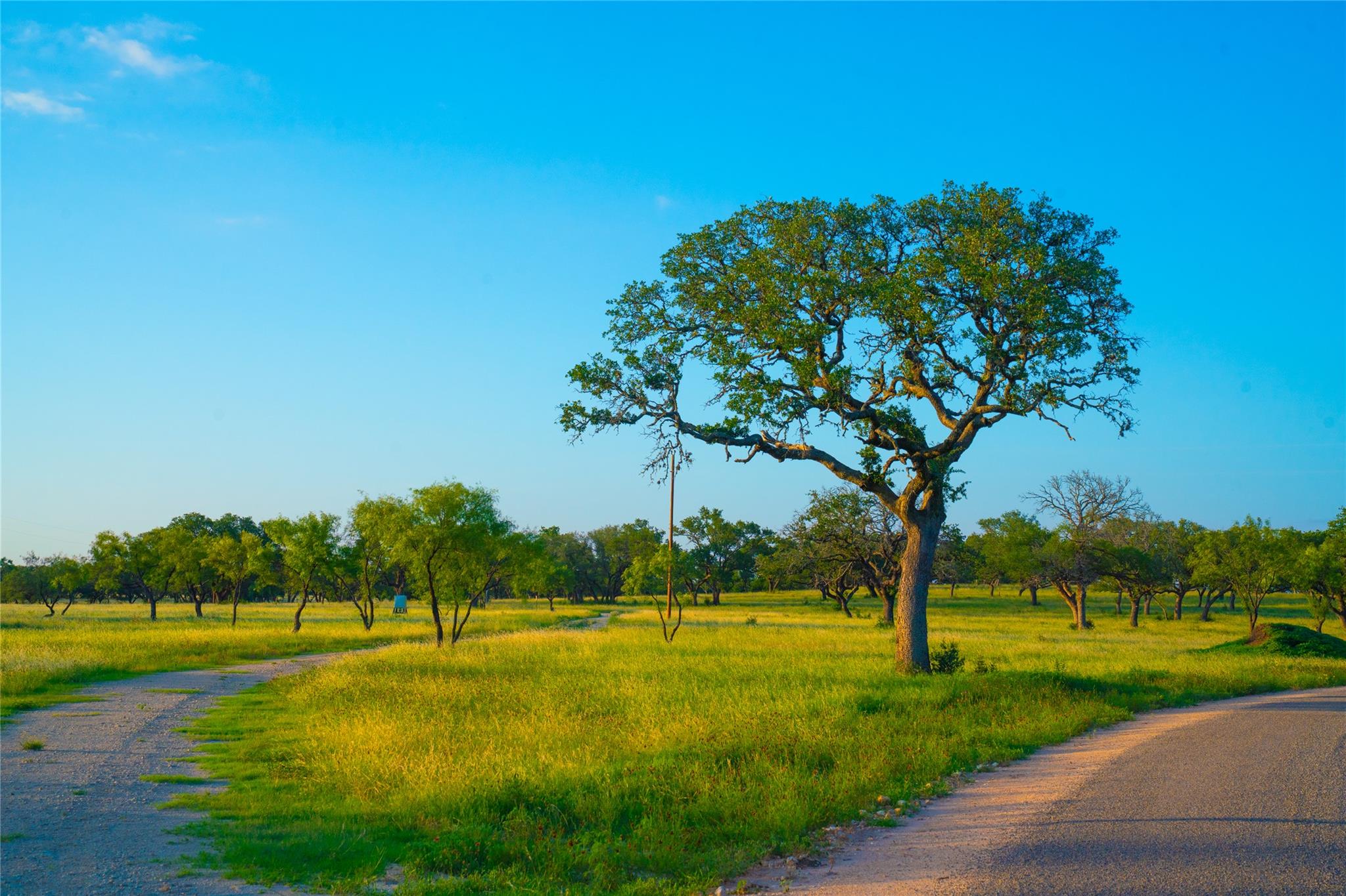 000 Rolling Oaks Rnch, Johnson City, TX 78636