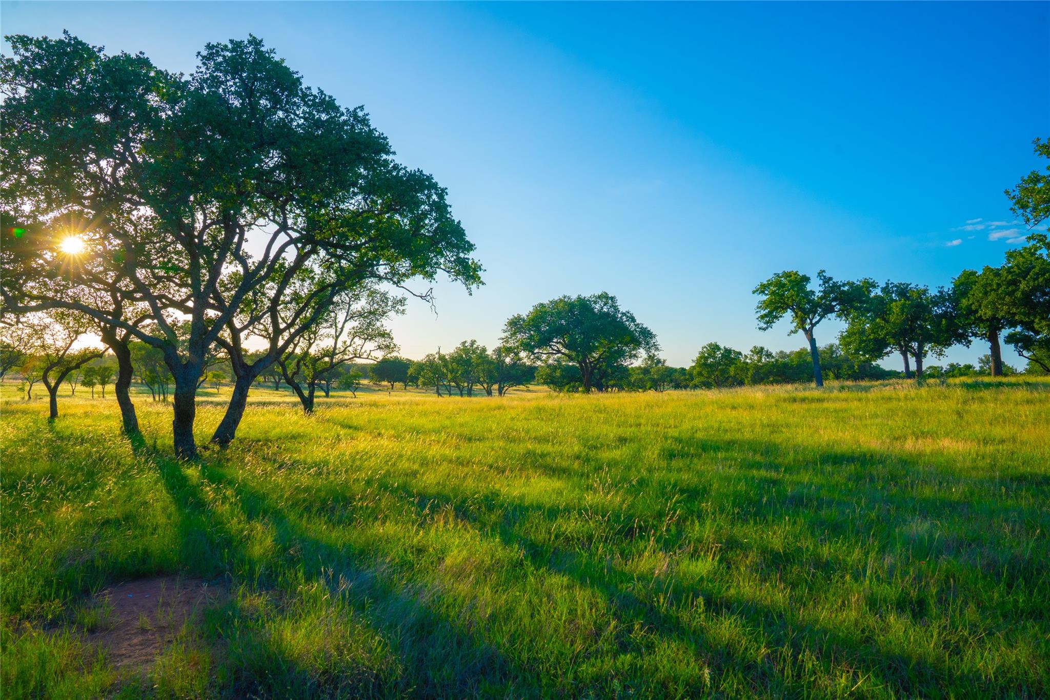 000 Rolling Oaks Rnch, Johnson City, TX 78636