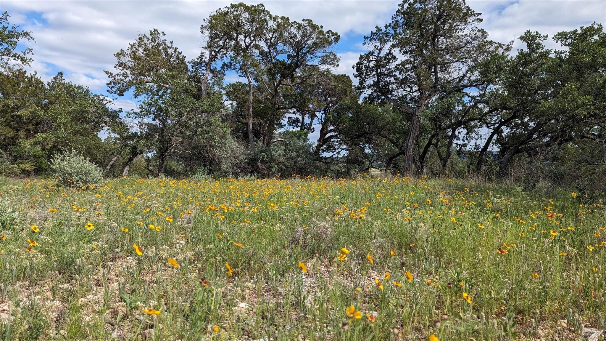 00 Angel Light Dr Dr, Spicewood, TX 78669