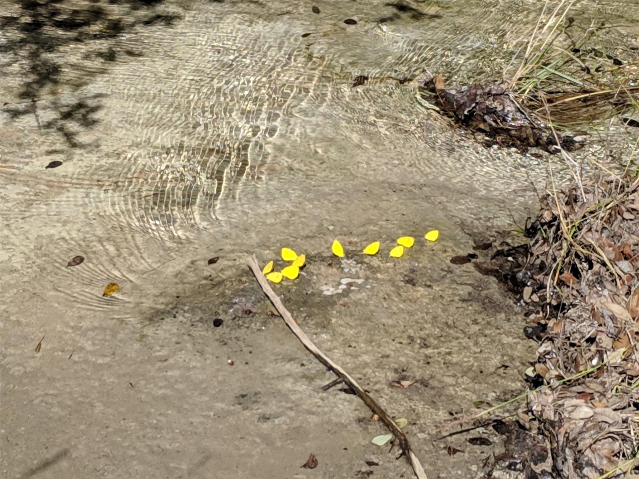 00 Angel Light Dr Dr, Spicewood, TX 78669