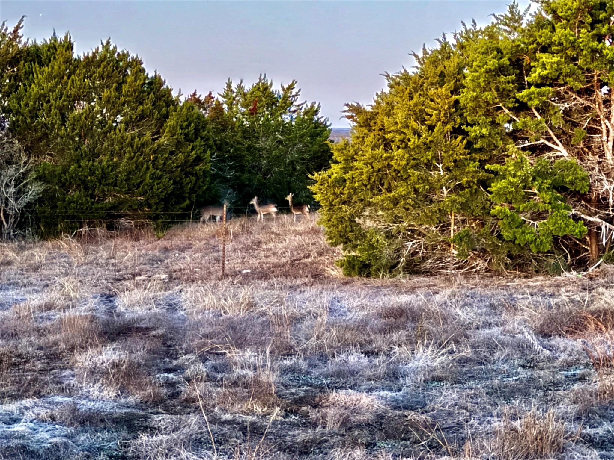 640 Sycamore Creek Dr, Dripping Springs, TX 78620