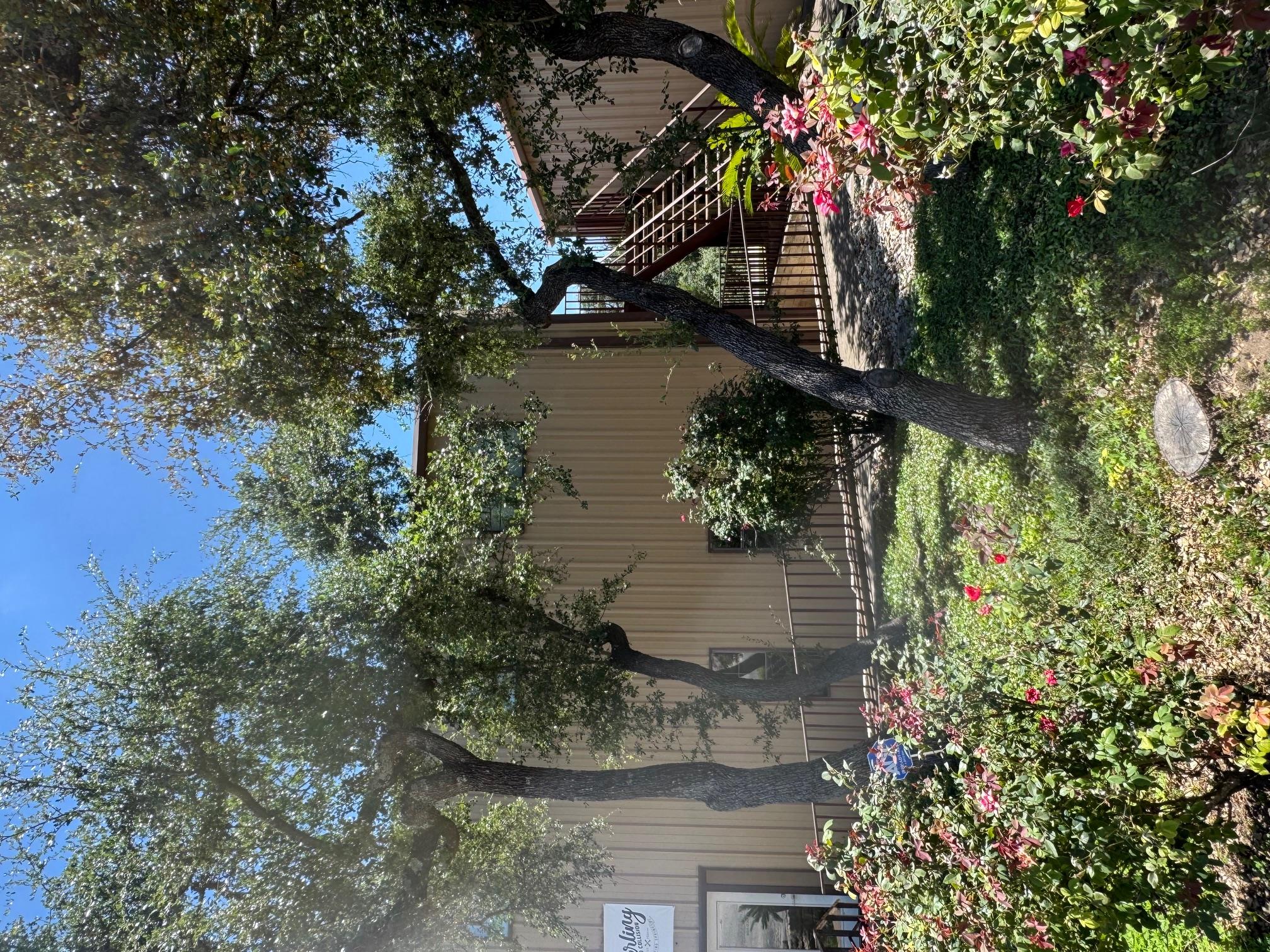 100 S Canyonwood Dr # 1-B, Dripping Springs, TX 78620