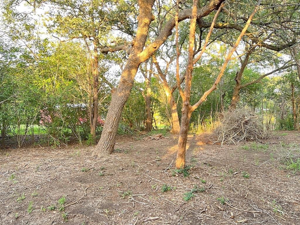 117 Caddo, Smithville, TX 78957