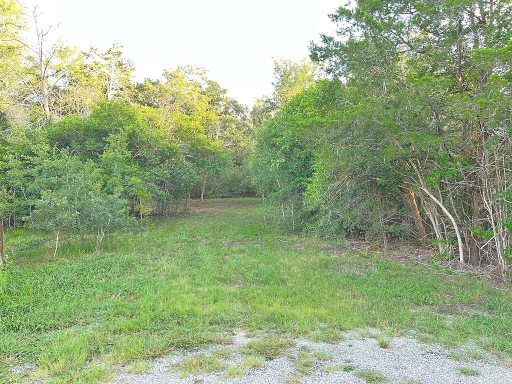 117 Caddo, Smithville, TX 78957