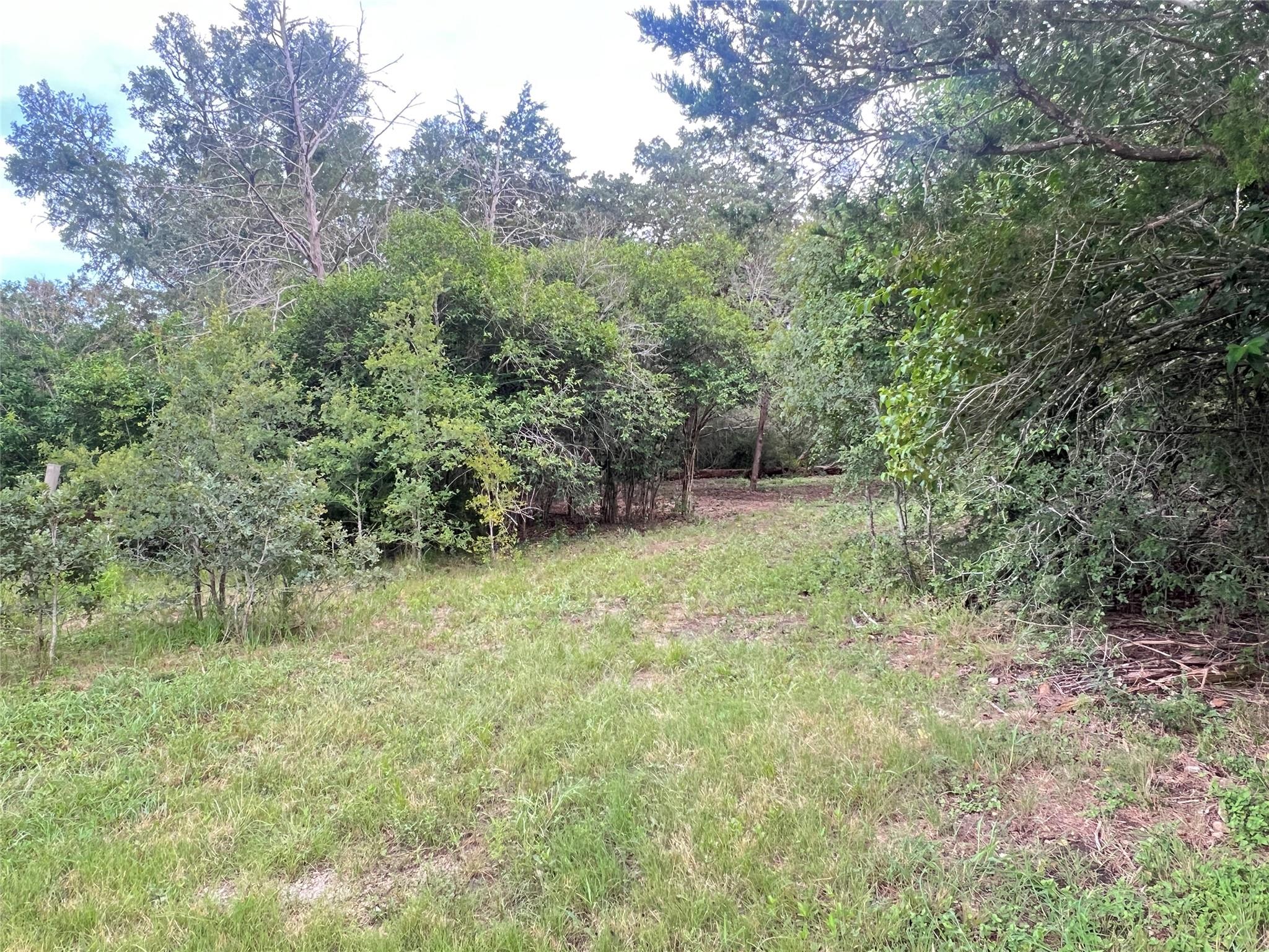 117 Caddo, Smithville, TX 78957