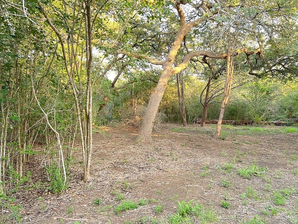 117 Caddo, Smithville, TX 78957