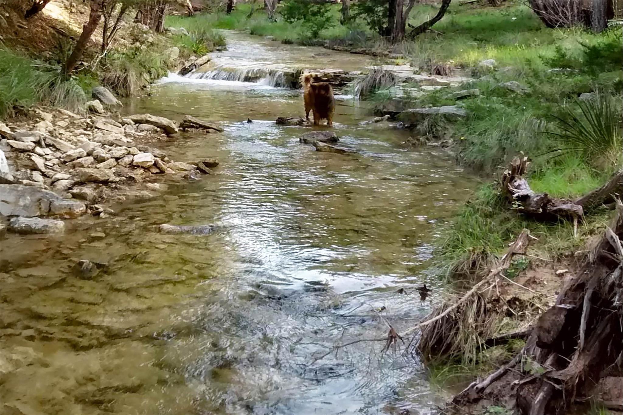 2822 Stagecoach Ranch Rd, Dripping Springs, TX 78620