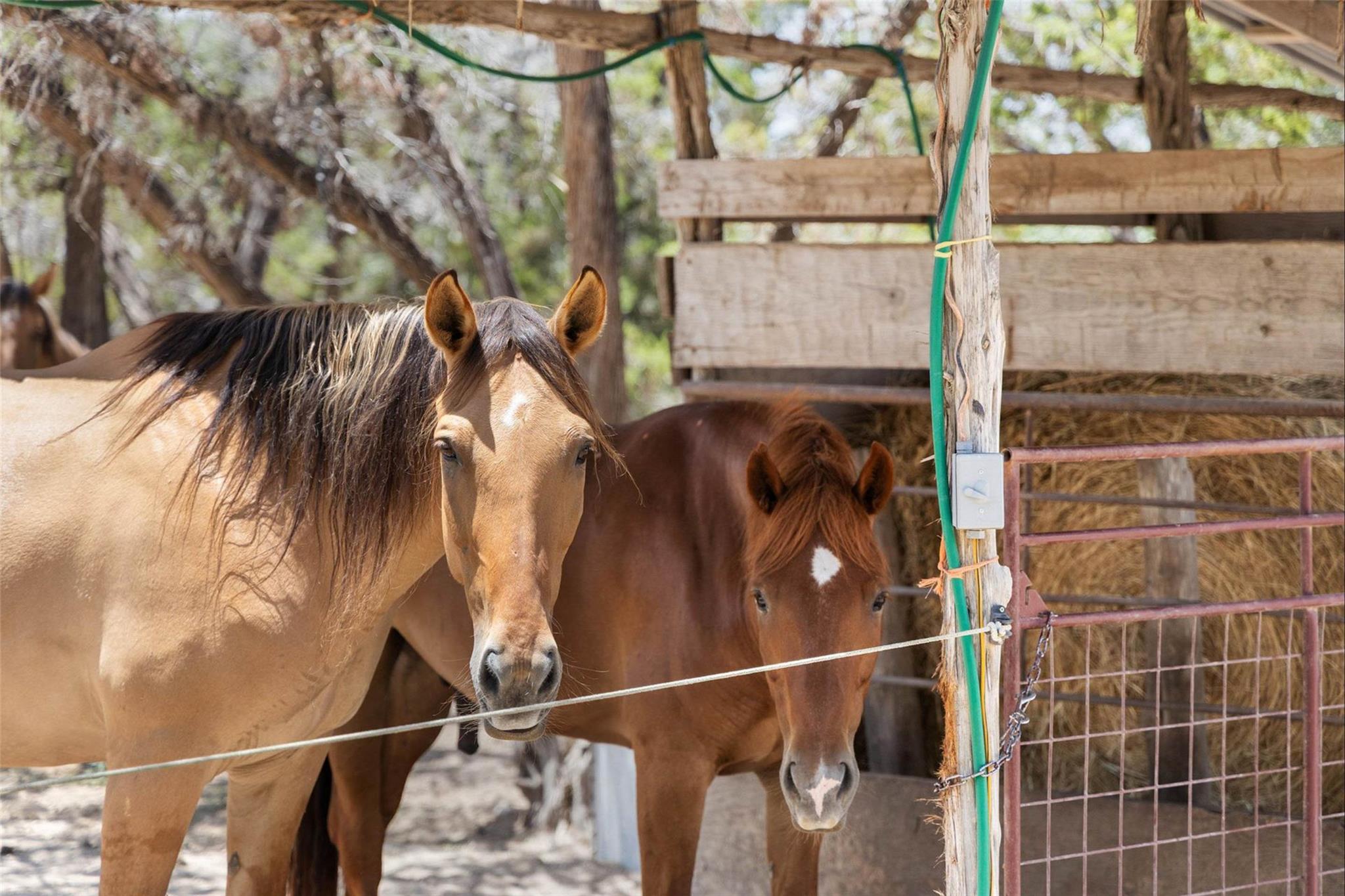 2822 Stagecoach Ranch Rd, Dripping Springs, TX 78620