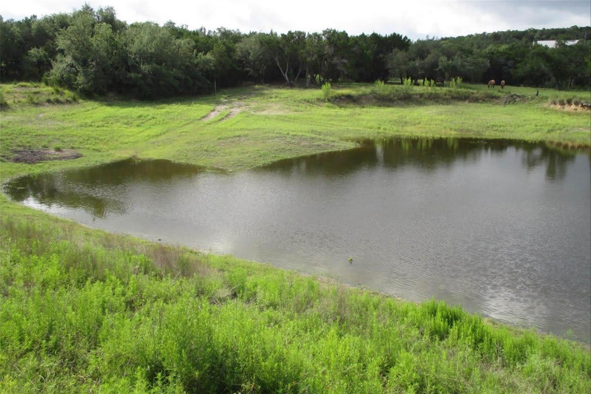 2822 Stagecoach Ranch Rd, Dripping Springs, TX 78620