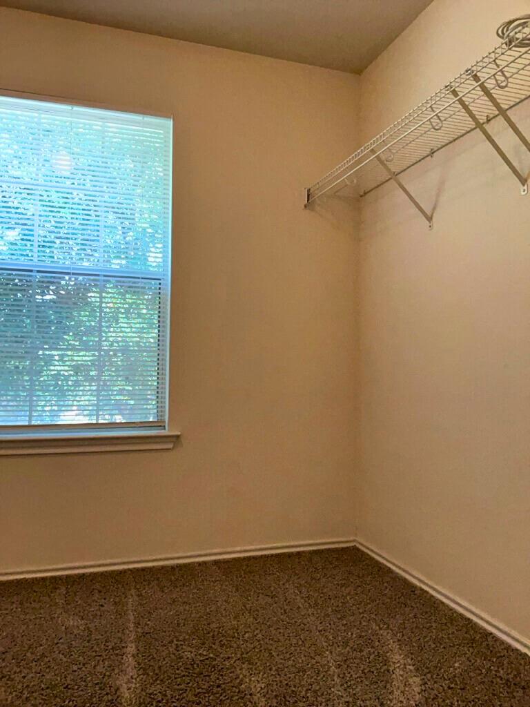 1005 Bluff Meadow Cv, Georgetown, TX 78626