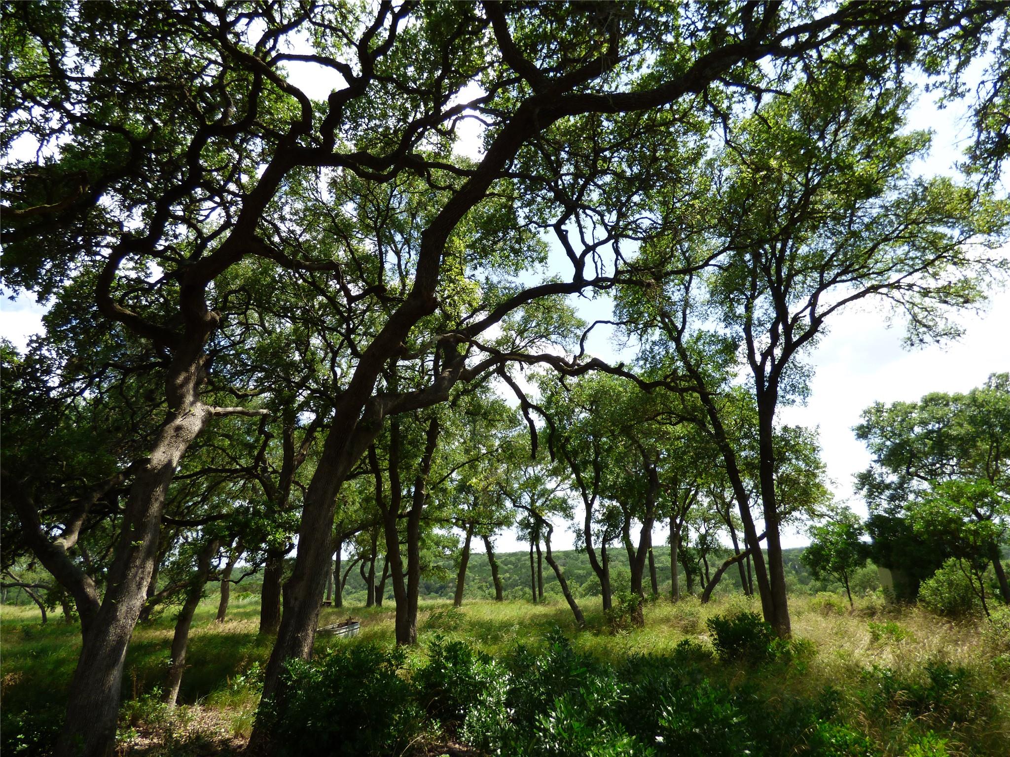 5771 Hilliard Rd, San Marcos, TX 78666