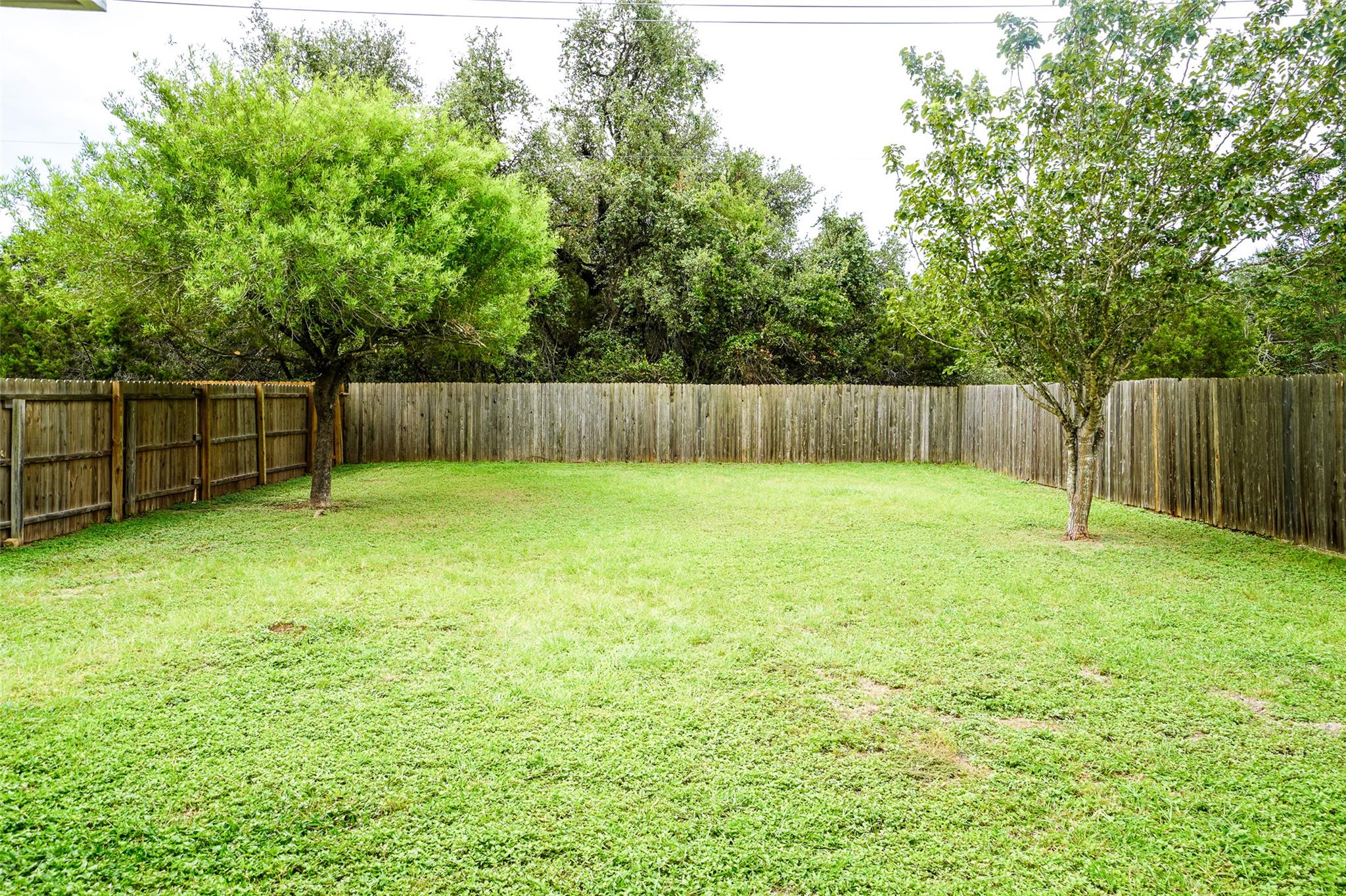 14501 BALLYCASTLE Trl, Austin, TX 78717