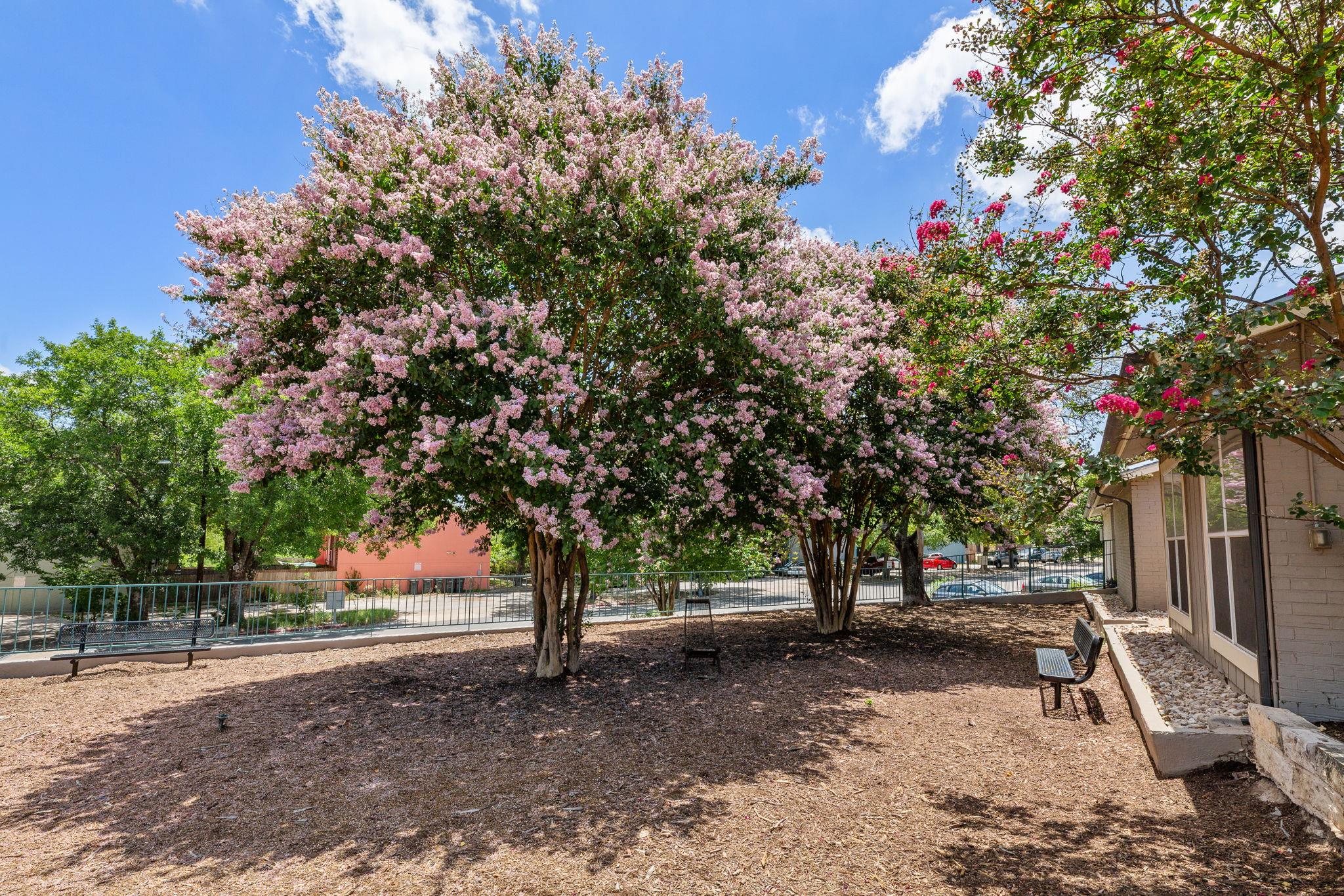 3819 Southway Dr # 207, Austin, TX 78704