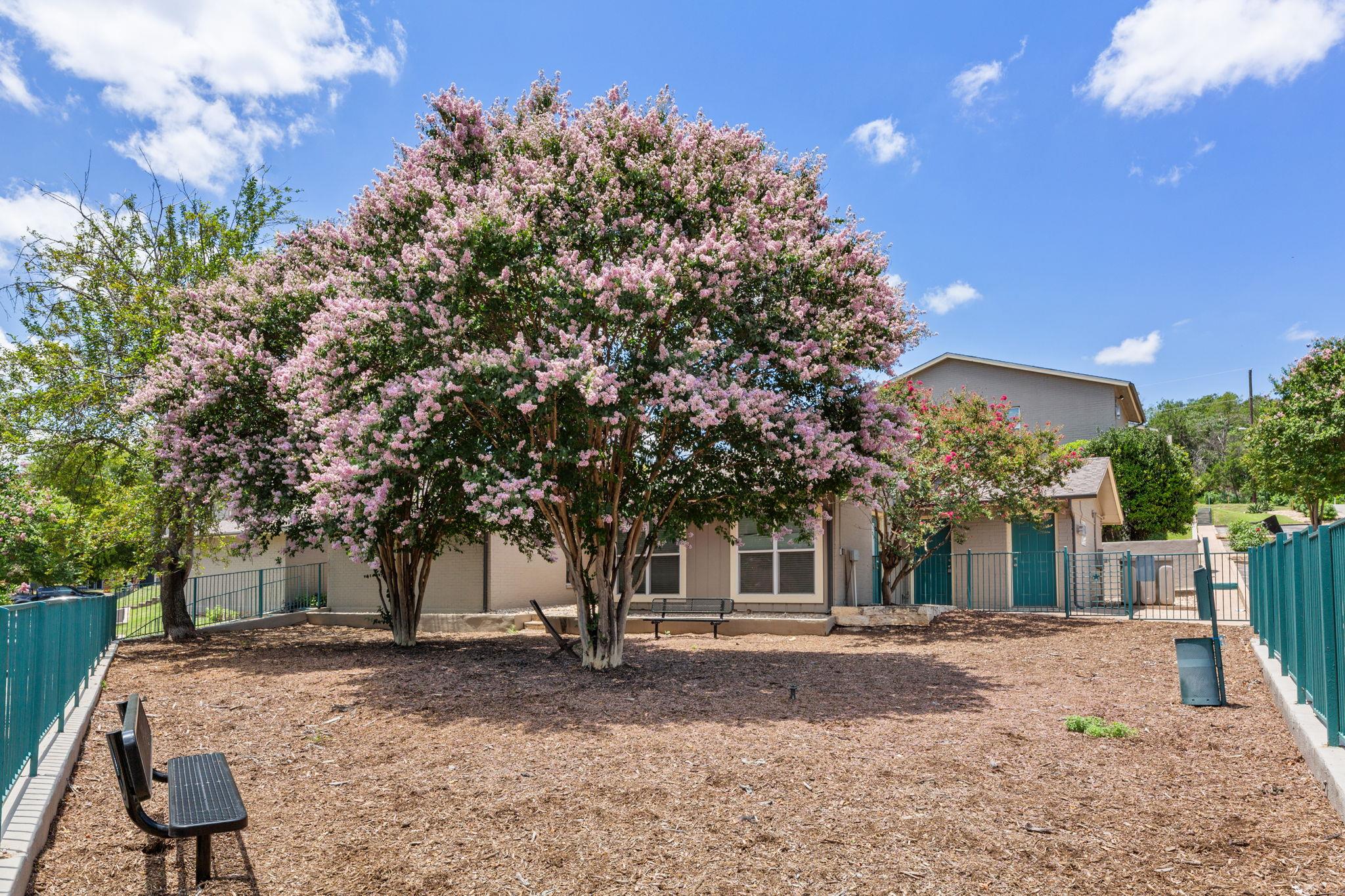 3819 Southway Dr # 105, Austin, TX 78704