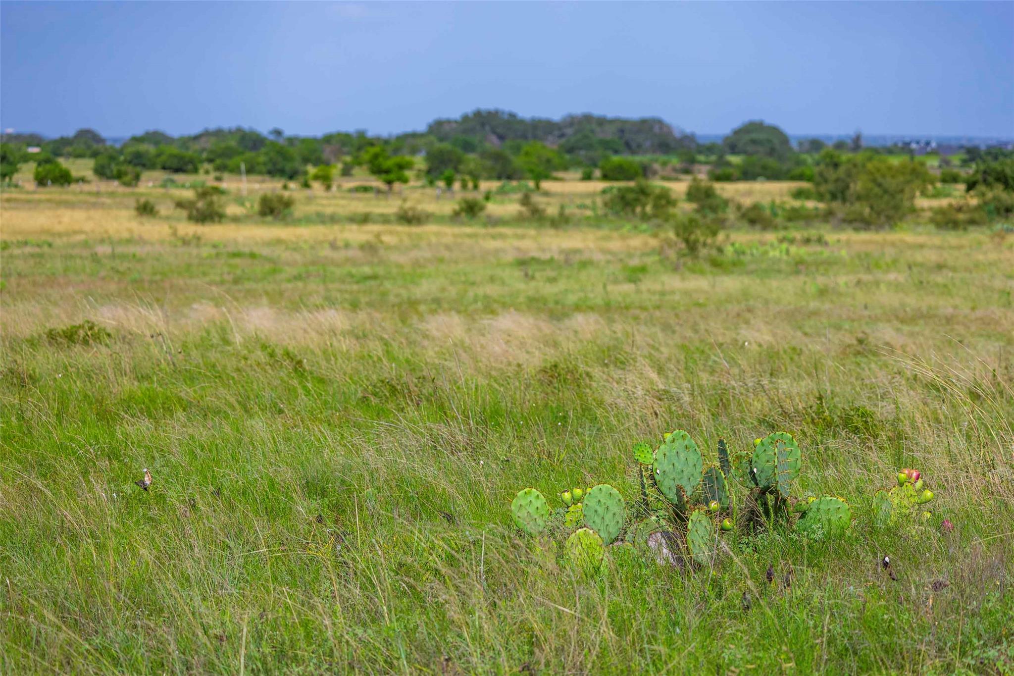 12.5ac FM 243, Bertram, TX 78605