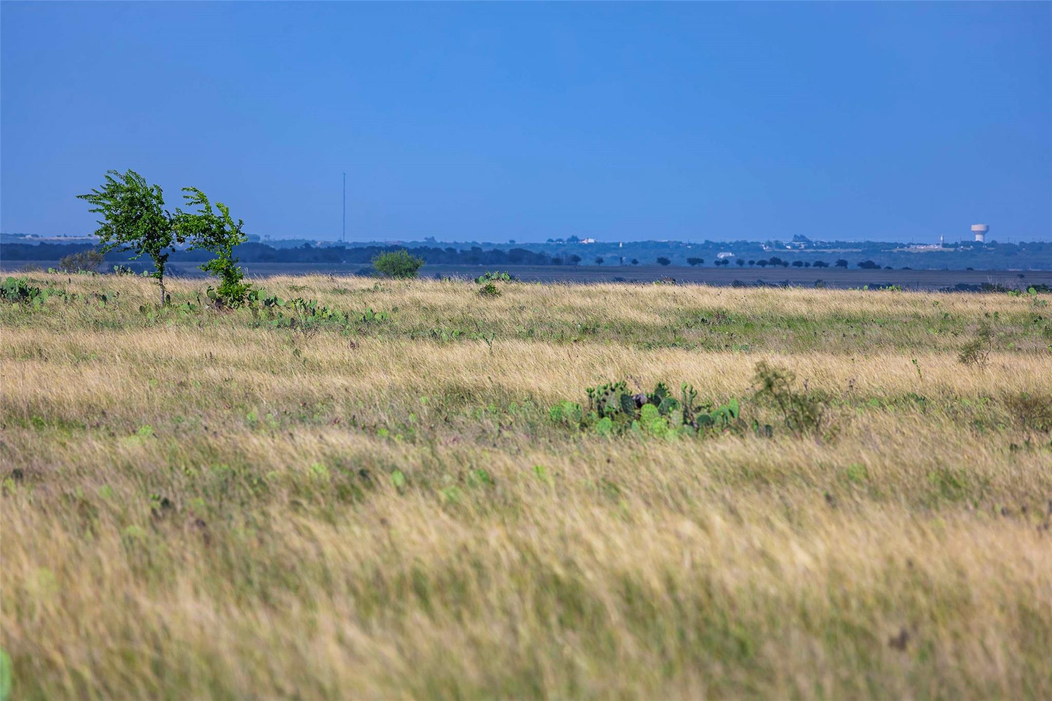 12.5ac FM 243, Bertram, TX 78605