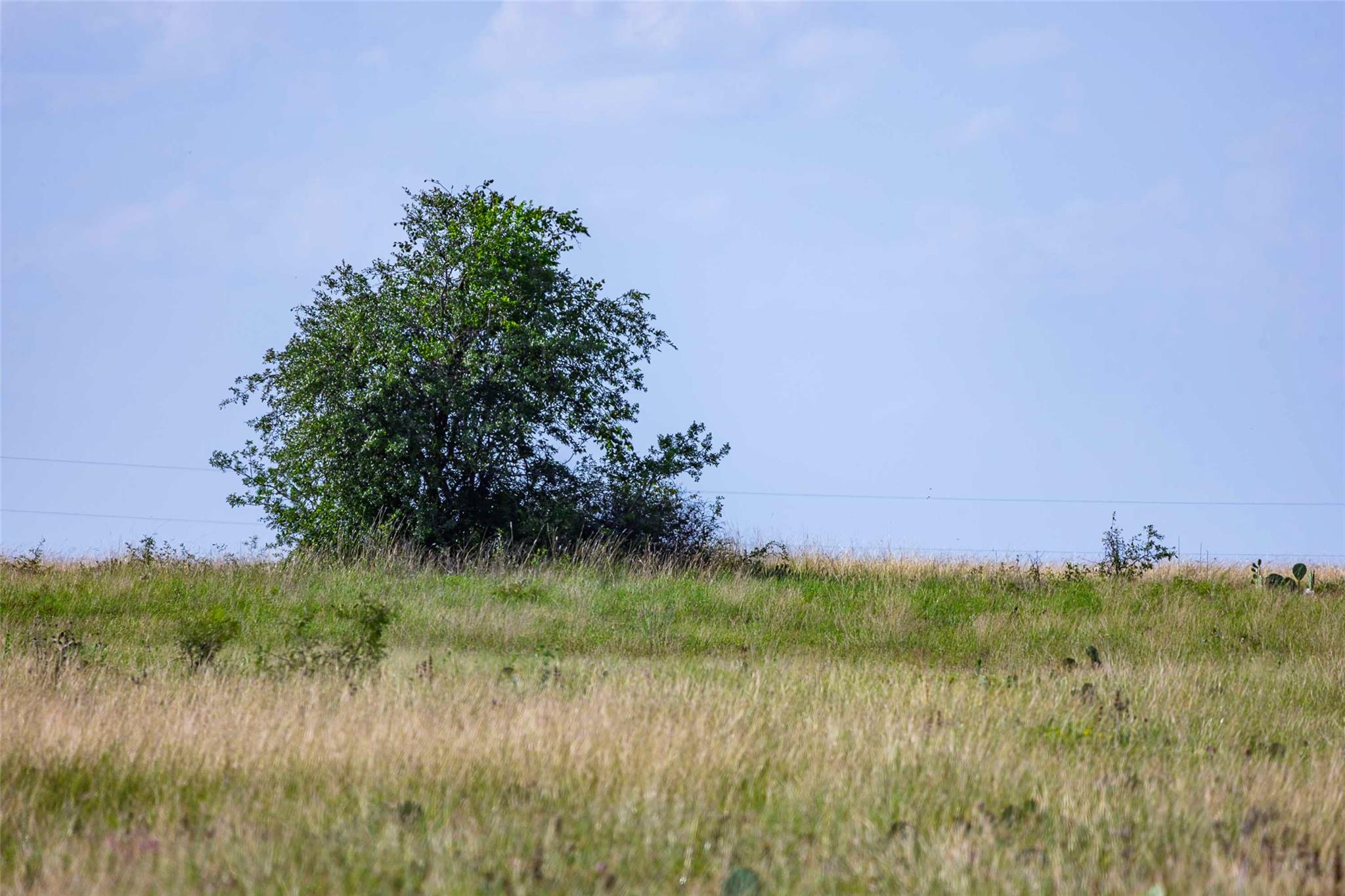 12.5ac FM 243, Bertram, TX 78605