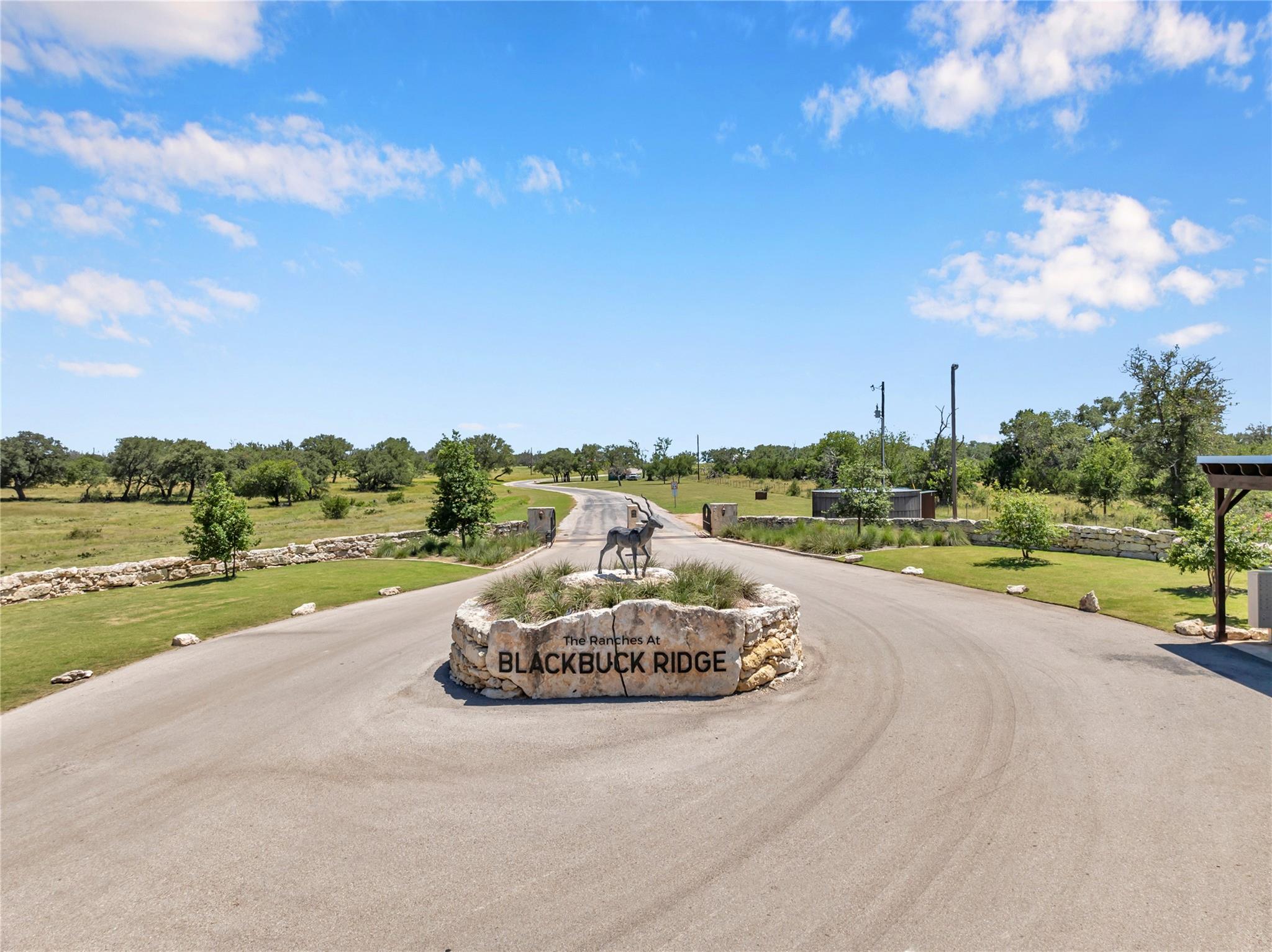 Lot 90 Blackbuck Ridge Dr, Lampasas, TX 76550