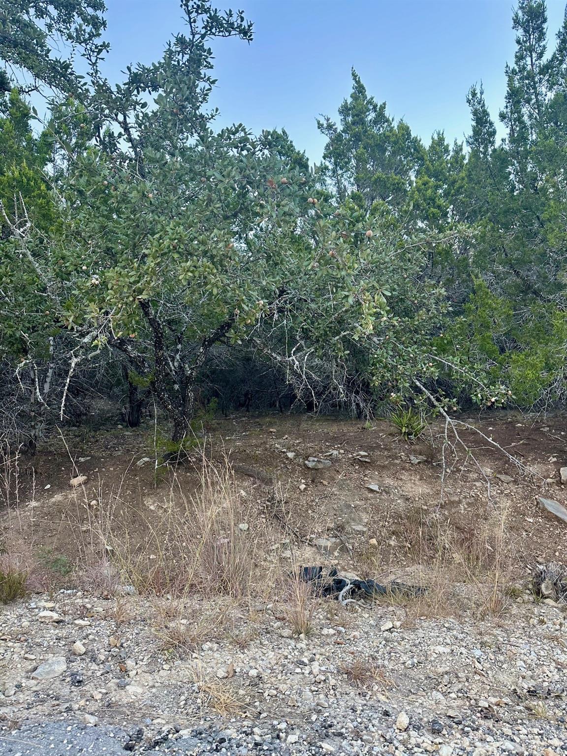 21106 Needles Cv, Lago Vista, TX 78645