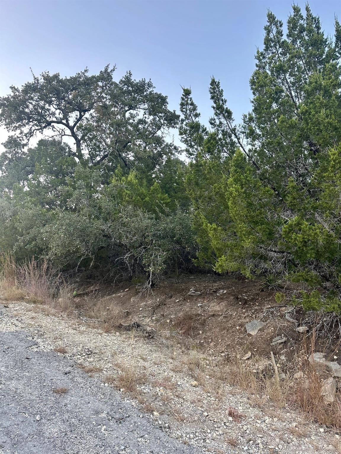 21106 Needles Cv, Lago Vista, TX 78645